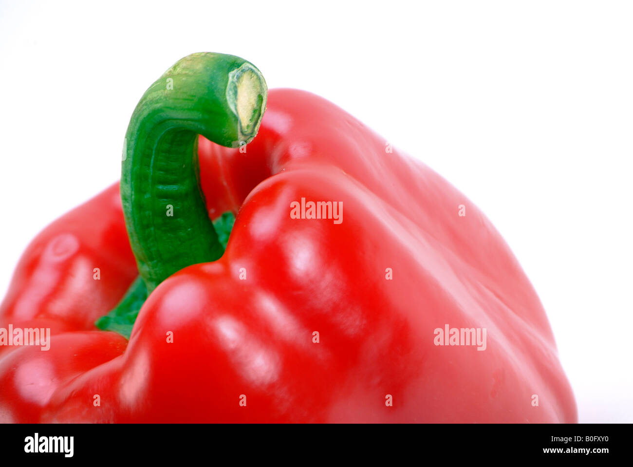 Red Bell Pepper Stock Photo