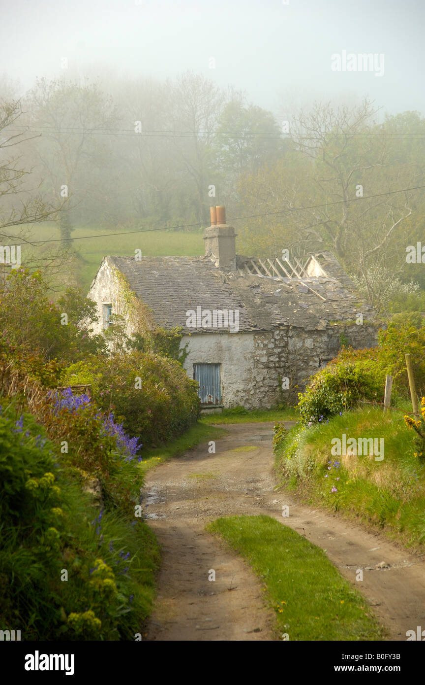 Ruined cottage near Red Wharf Bay Anglesey North Wales Stock Photo