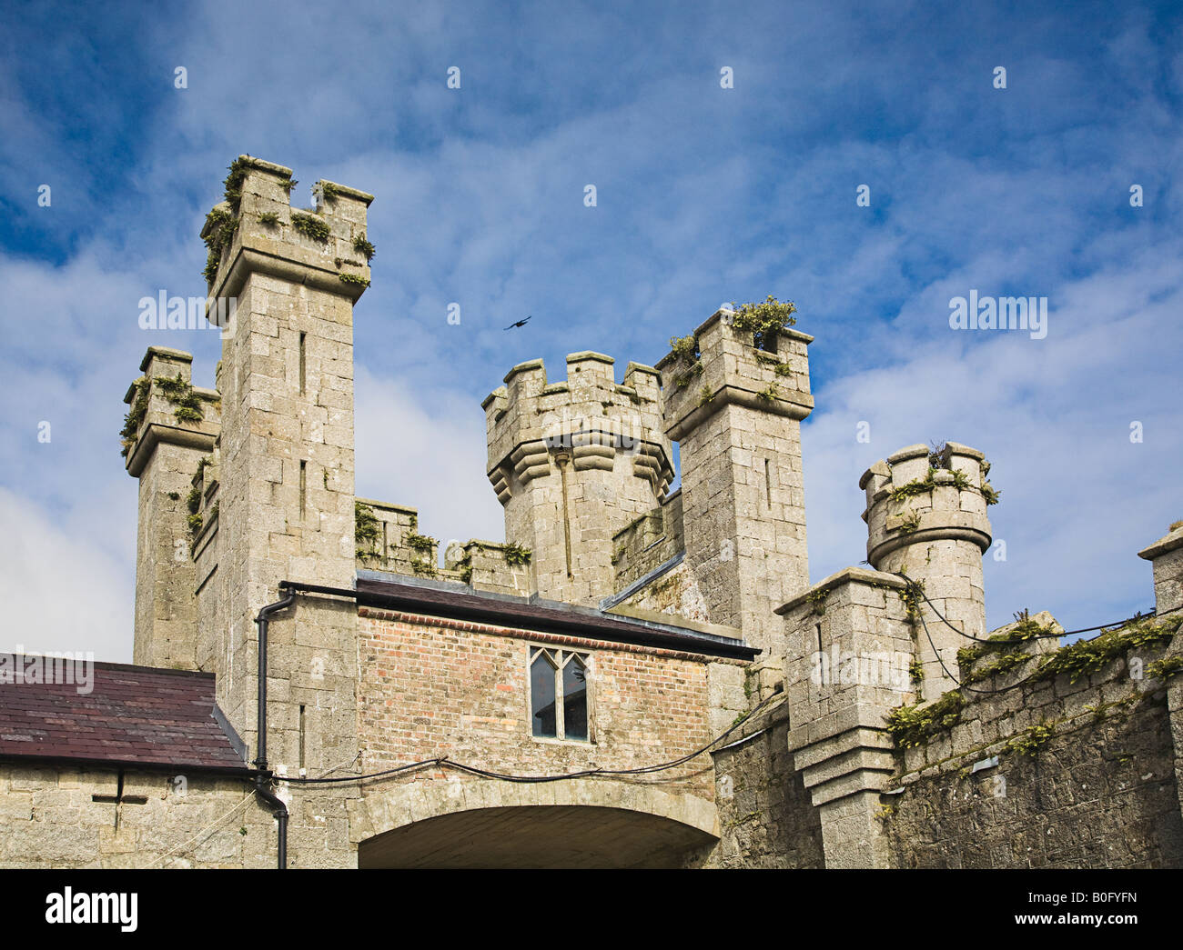 Ducketts Grove Castle Co. Carlow ireland Stock Photo Alamy