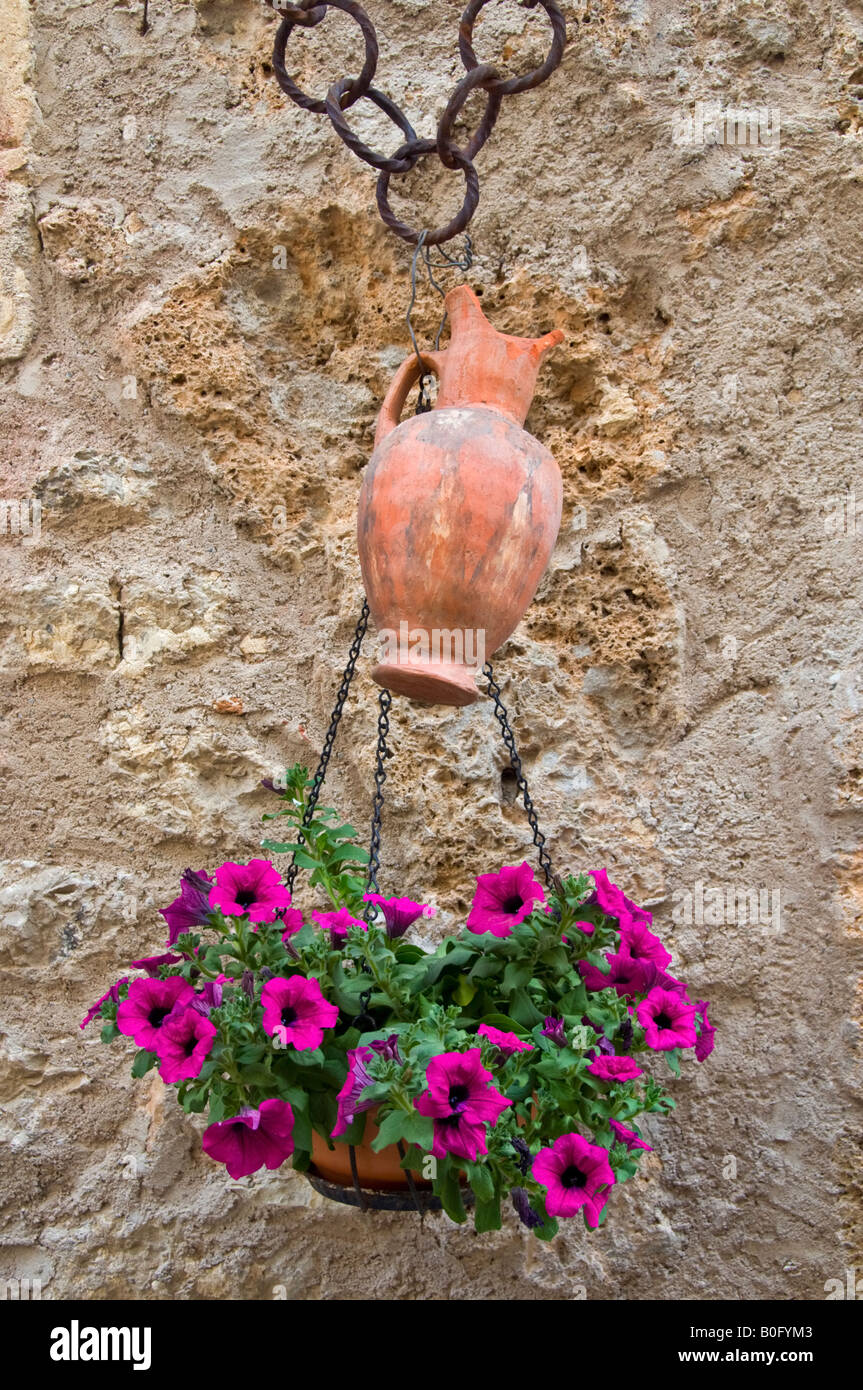 Flowers in a hanging basket hi-res stock photography and images - Alamy