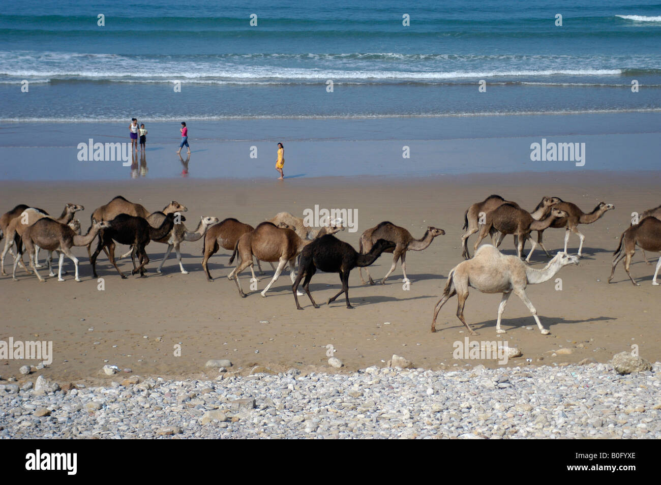 Plage De Taghazoute Maroc Stock Photos Plage De Taghazoute