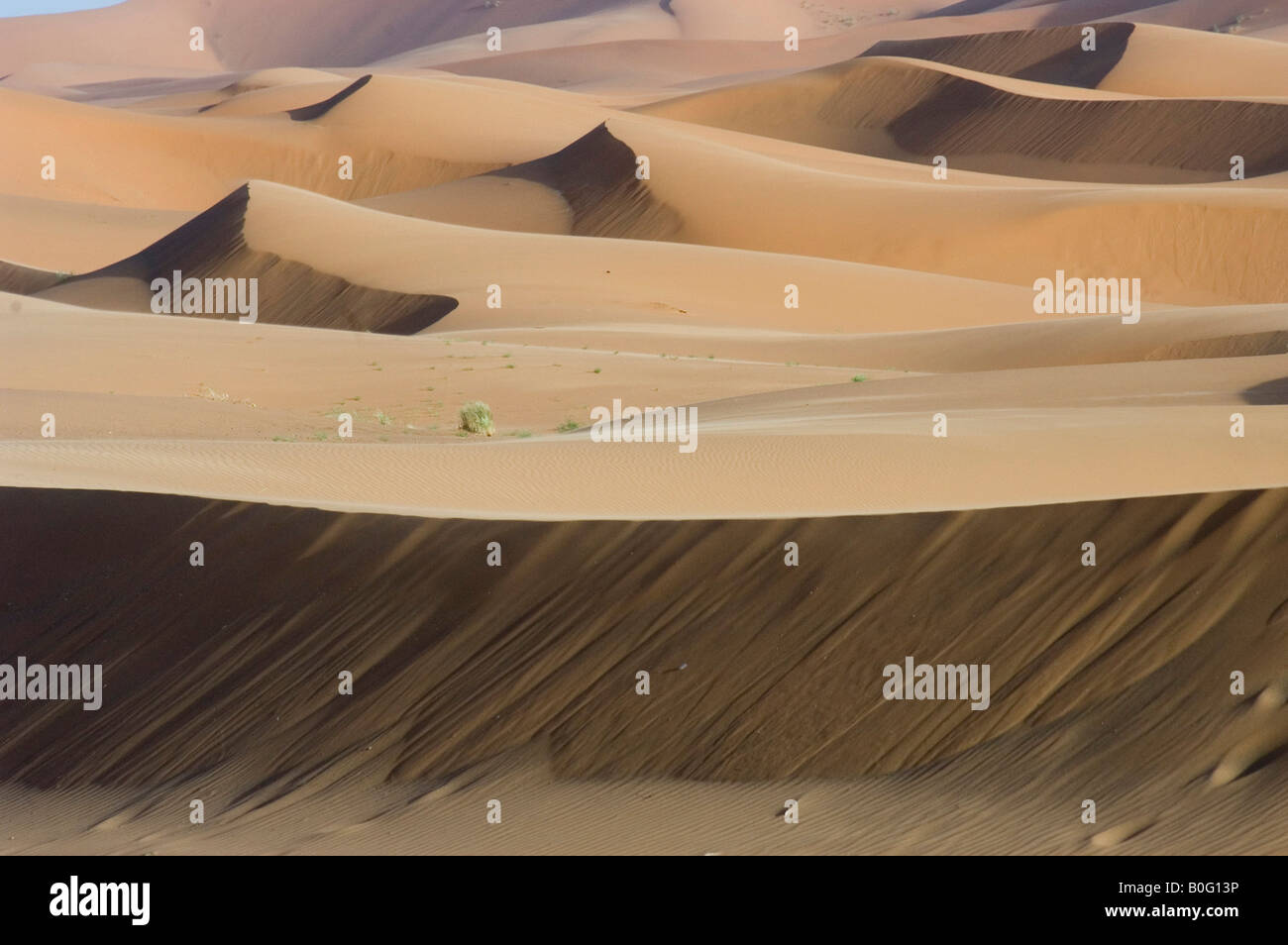 Le desert du Sud Marocain les dunes de Merzouga Stock Photo - Alamy