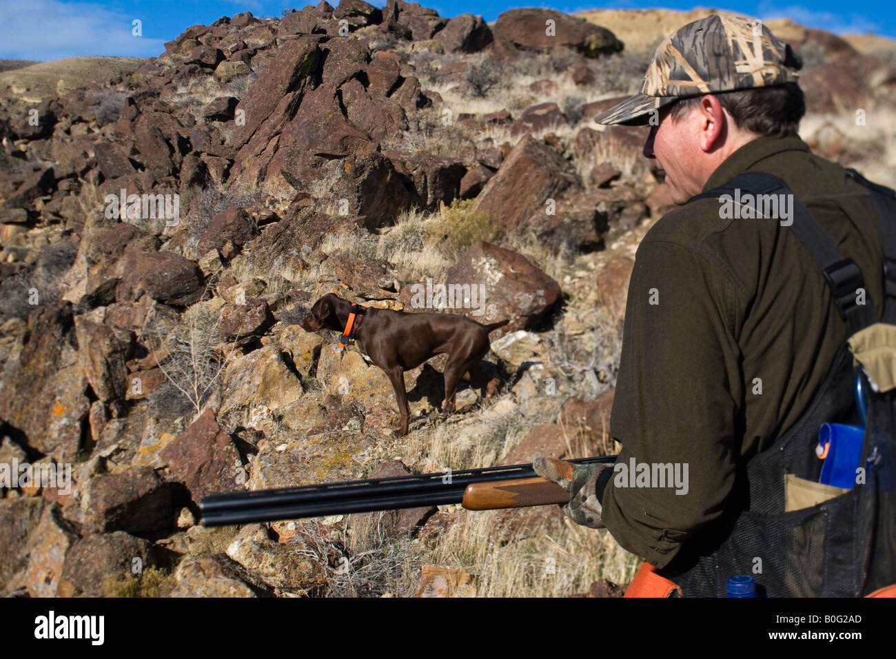 Man and dog Upland Bird Hunting for Alectoris Chukar in the South
