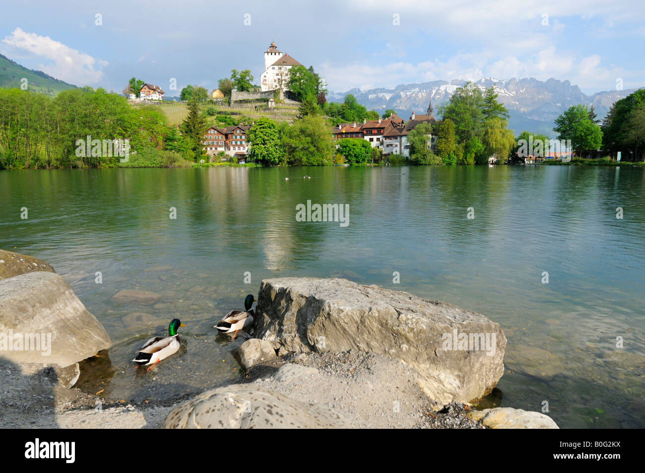 Scenic Lake and Castle Werdenberg in spring, Rheintal CH Stock Photo