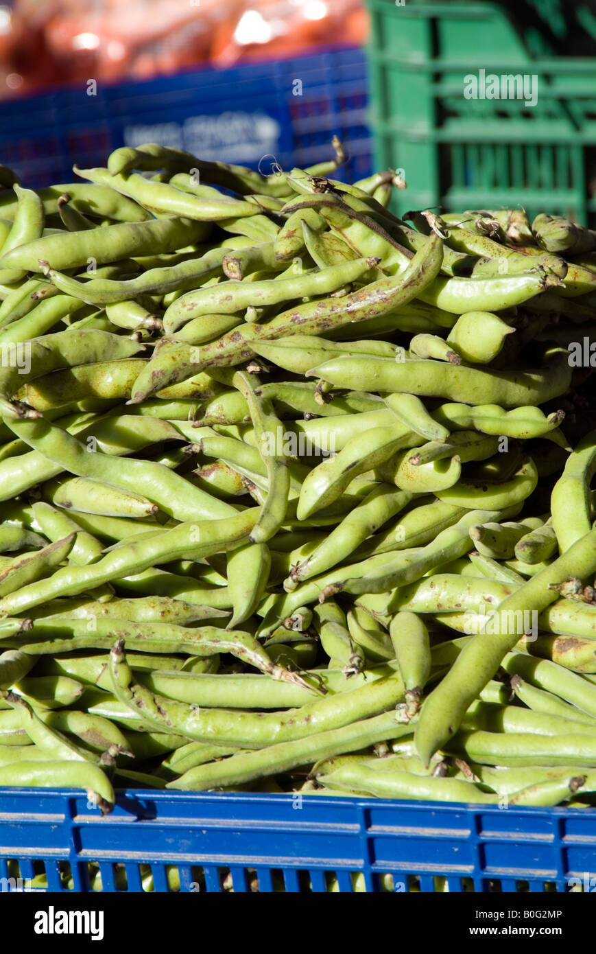 green beans bean fresh vegetable fibre roughage pod market stall