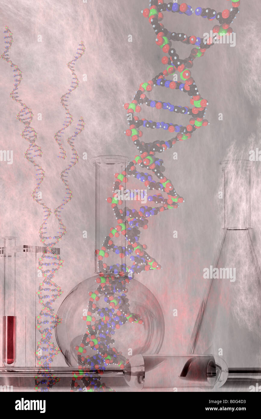Replication of DNA Stock Photo
