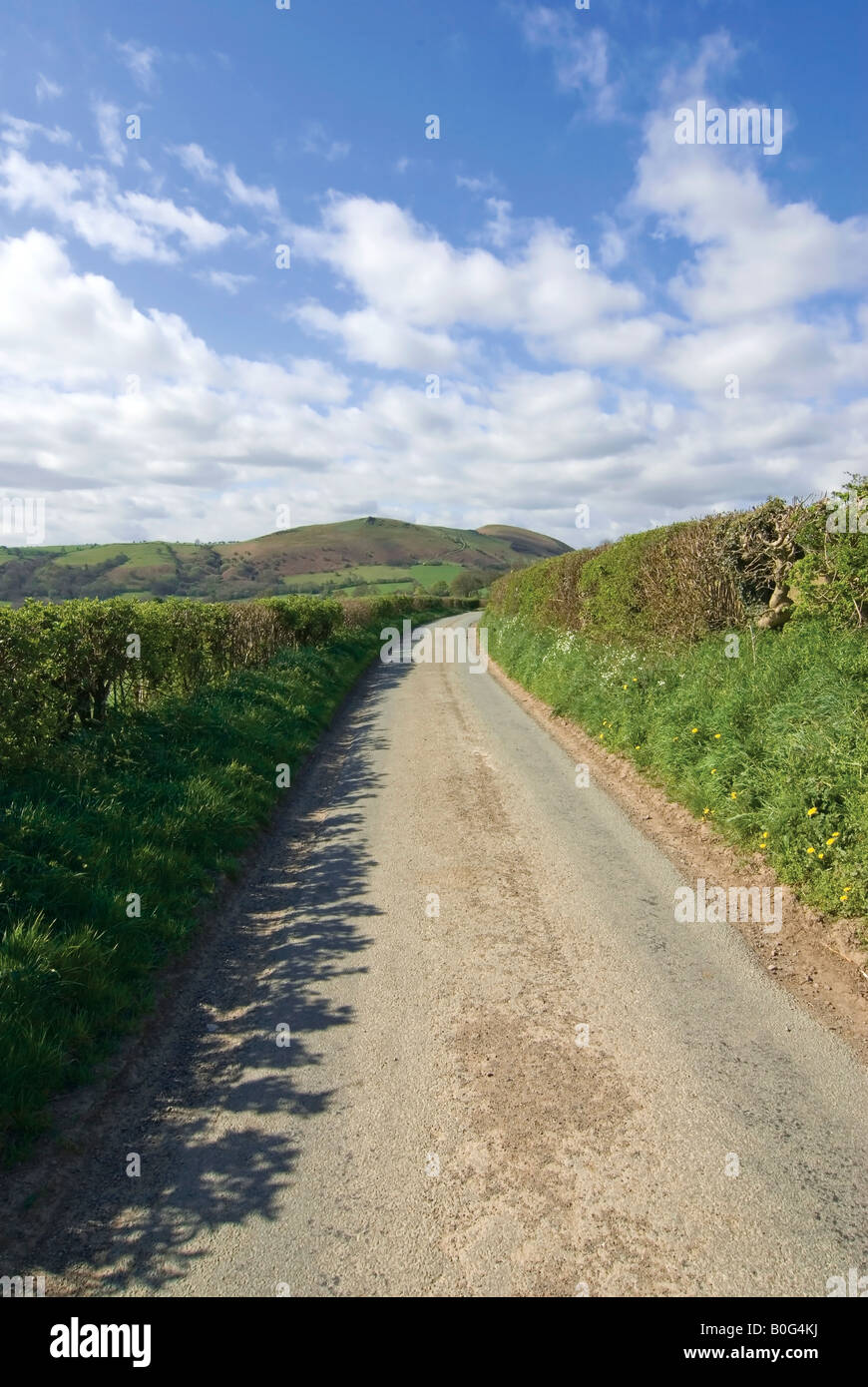 country lane cardington shropshire midlands england uk Stock Photo