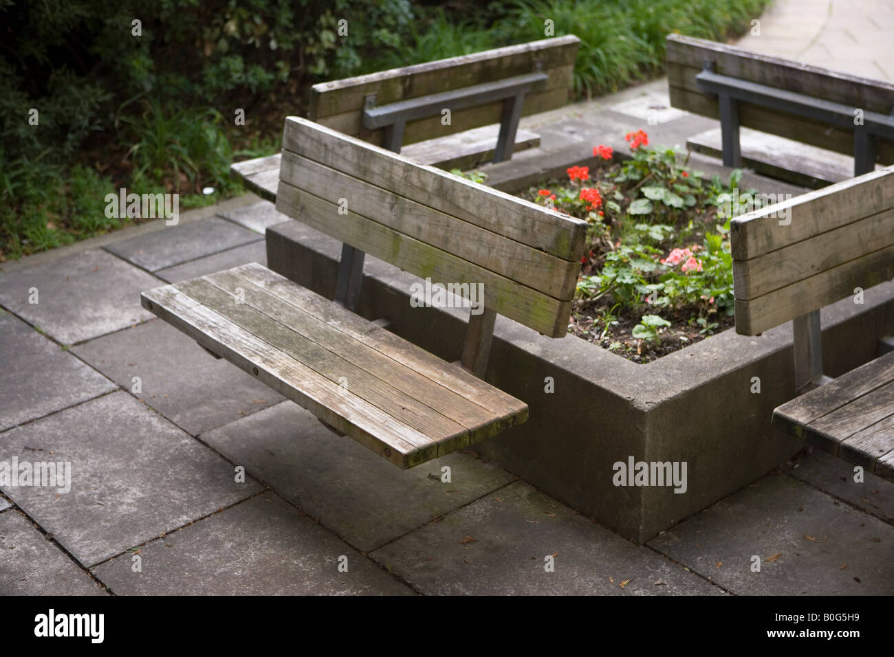 Wooden Benches Around Raised Flower Bed Hospital Palmerston North
