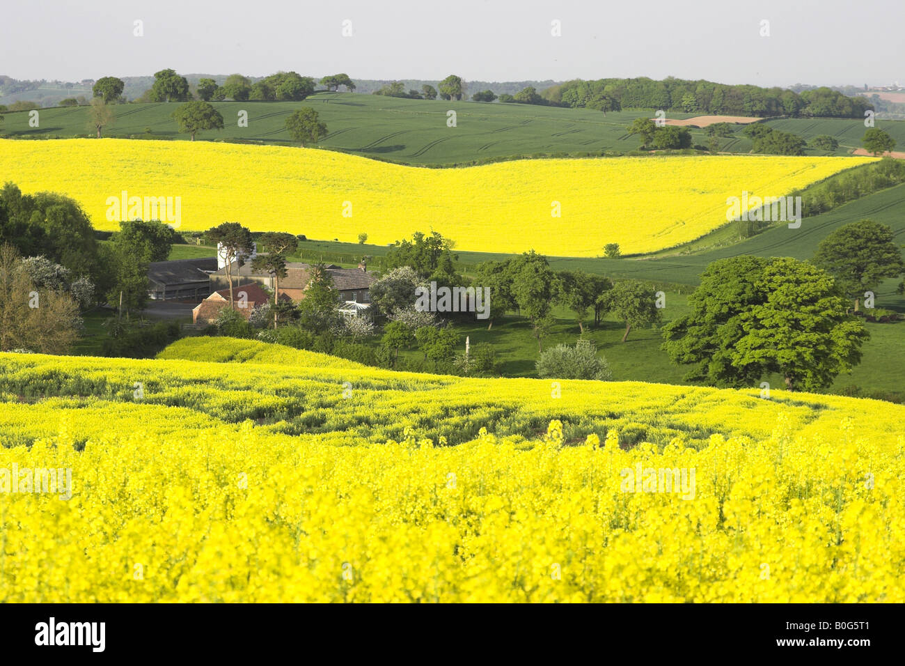 English countryside in spring Stock Photo
