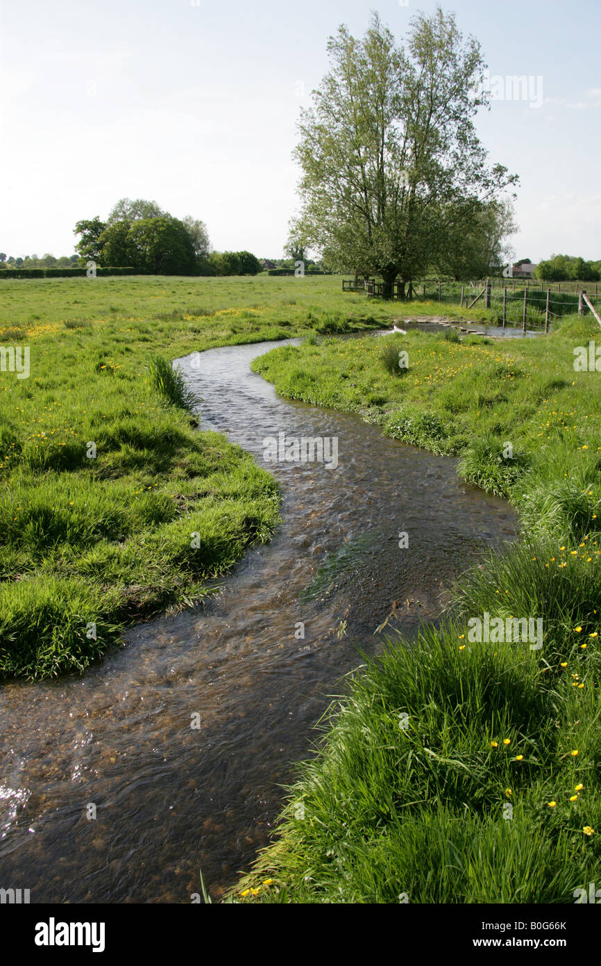 River Ver St Albans Aldenham Hertfordshire Herts Stock Photo Alamy