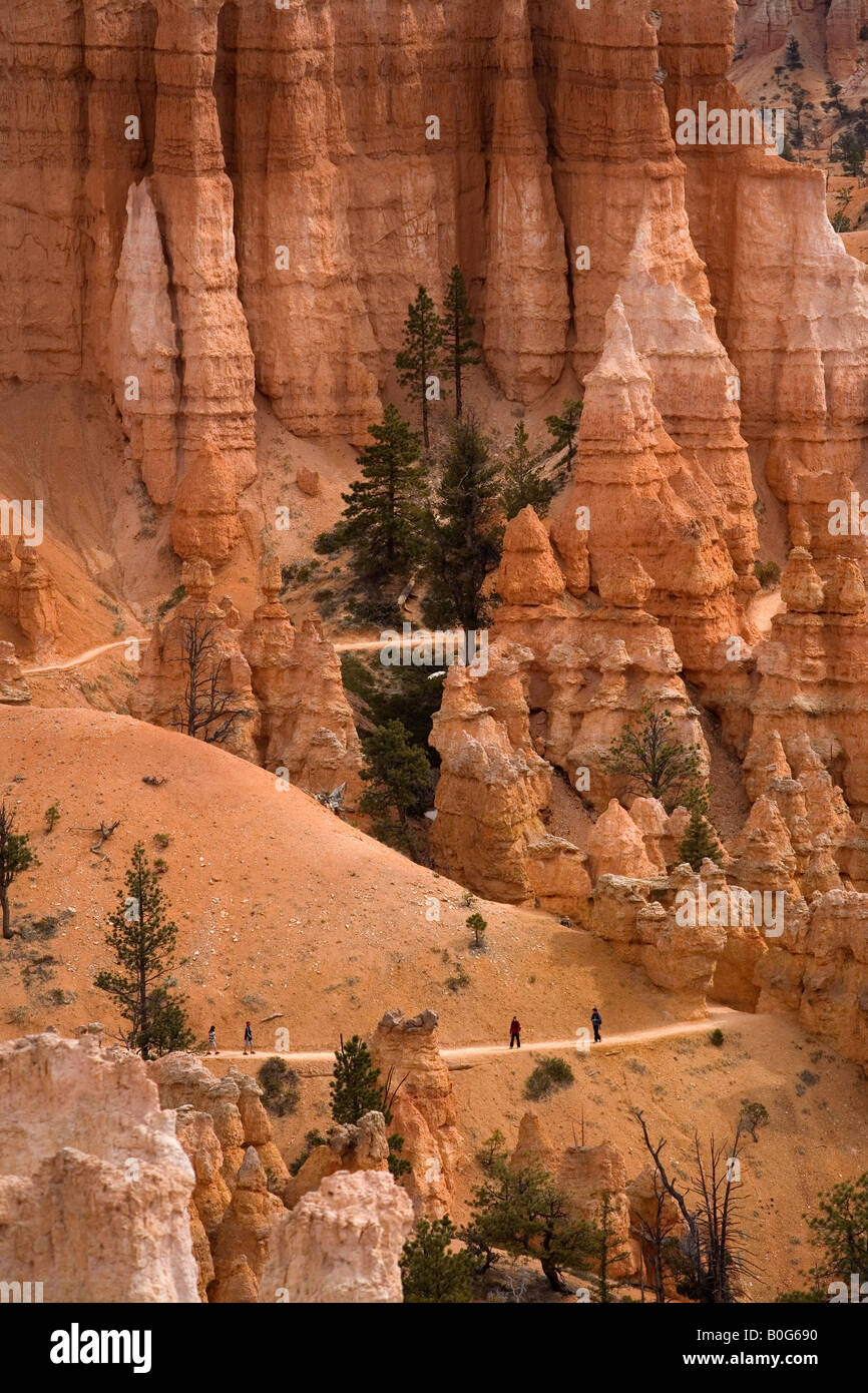 Hiking Trails in Bryce Canyon National Park, Utah Stock Photo
