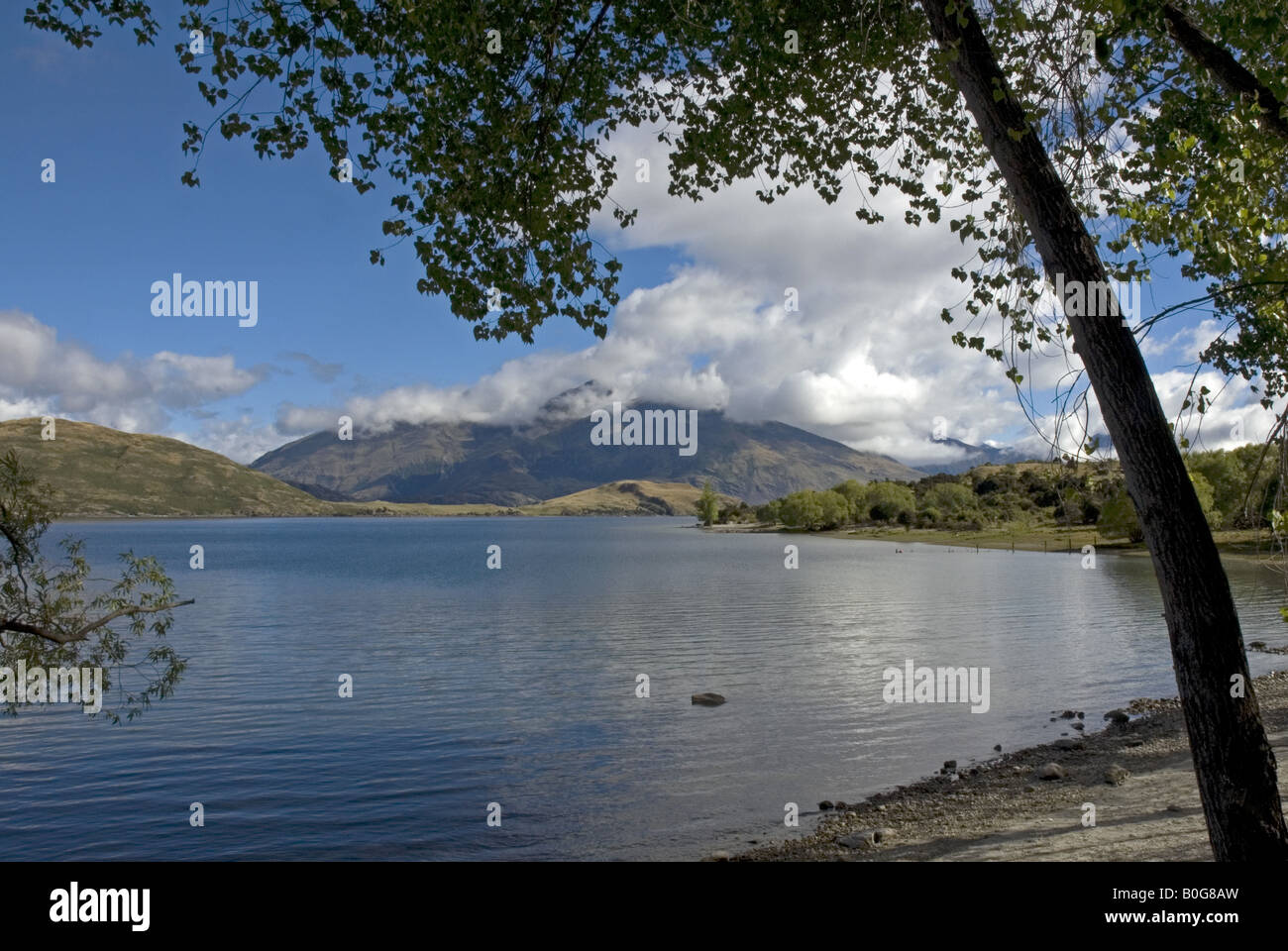 Glendhu Bay, Lake Wanaka, Otago, New Zealand Stock Photo