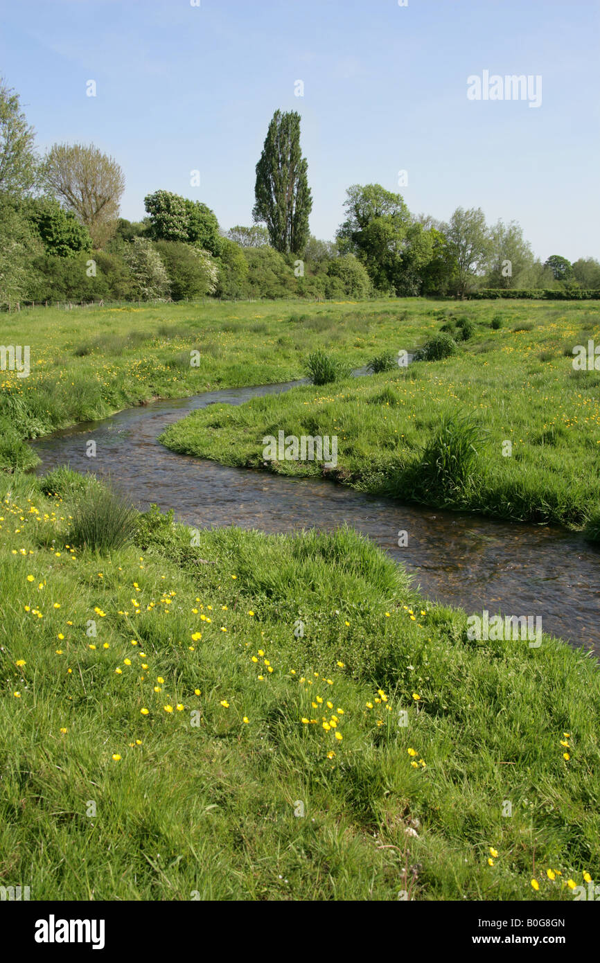 River Ver St Albans Aldenham Hertfordshire Herts Stock Photo Alamy