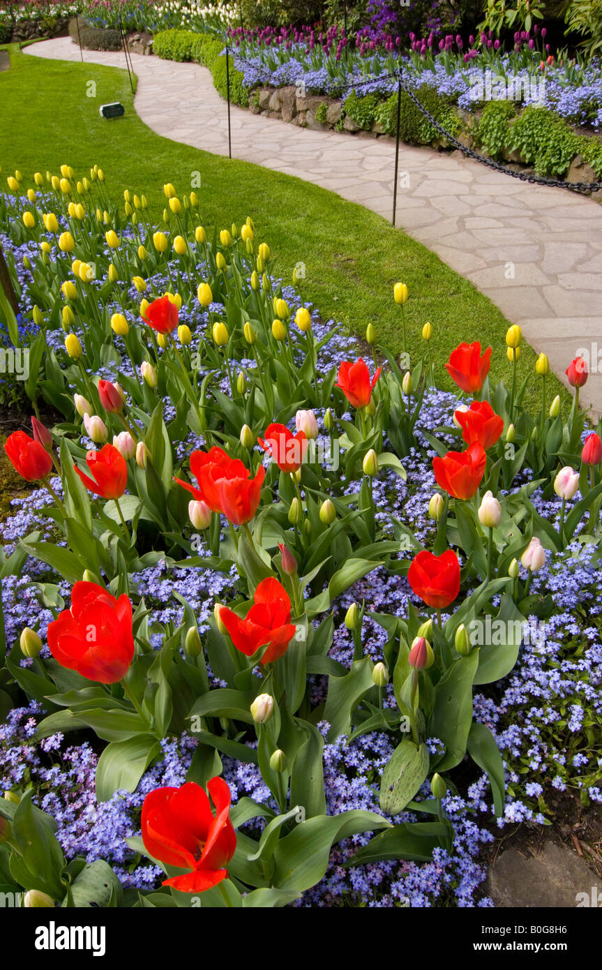 Spring flowers bloom at Butchart Gardens, Vancouver Island, British Columbia, Canada Stock Photo
