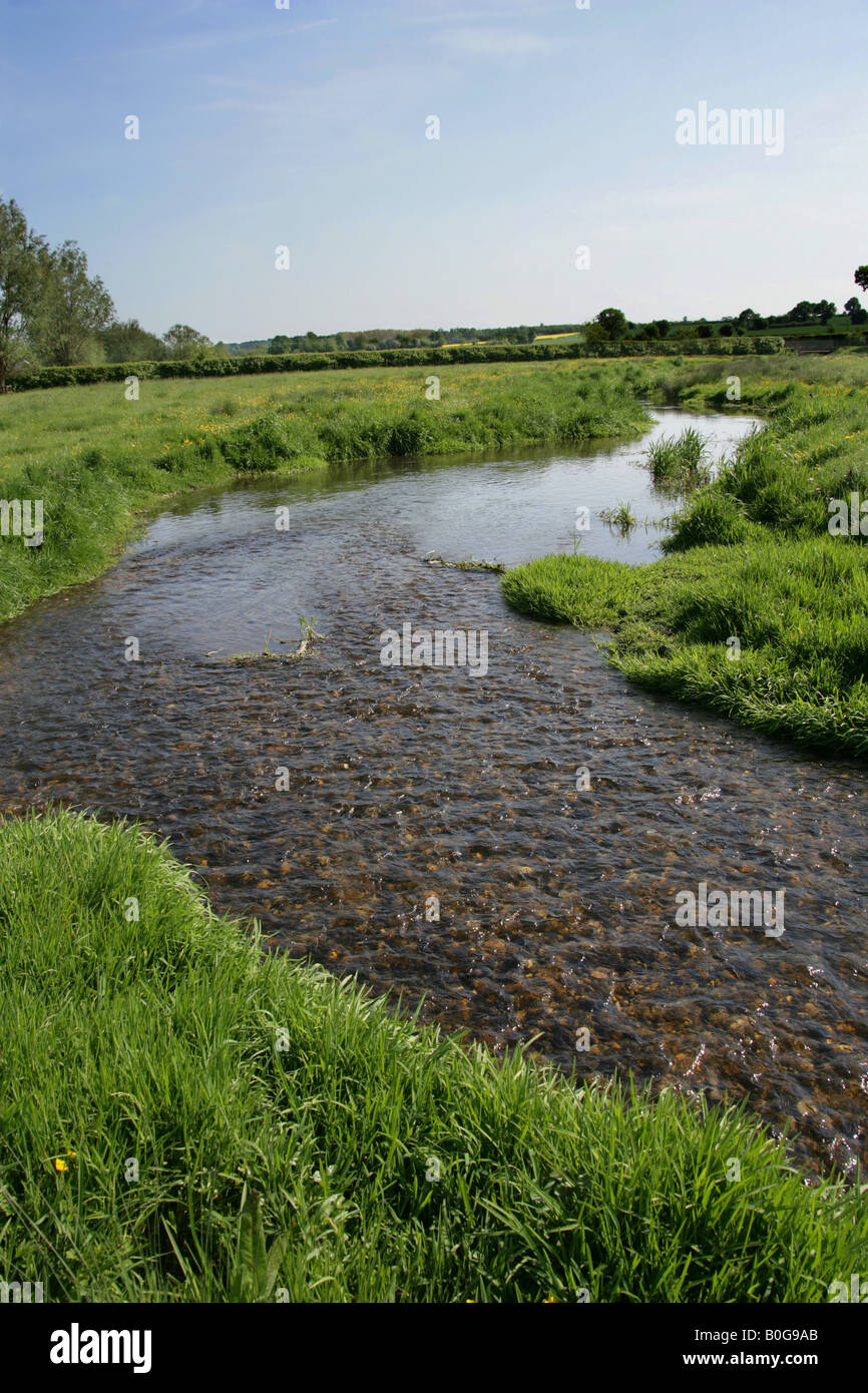 River Ver St Albans Aldenham Hertfordshire Herts Stock Photo Alamy