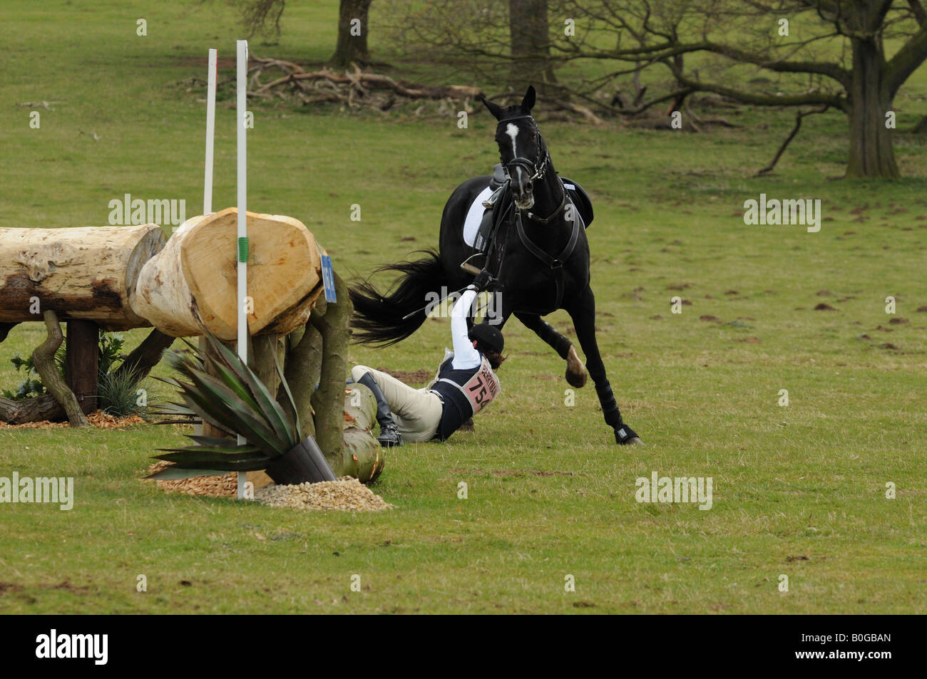female rider falls from horse rearing up at belton house horse trials in grantham lincolnshire Stock Photo