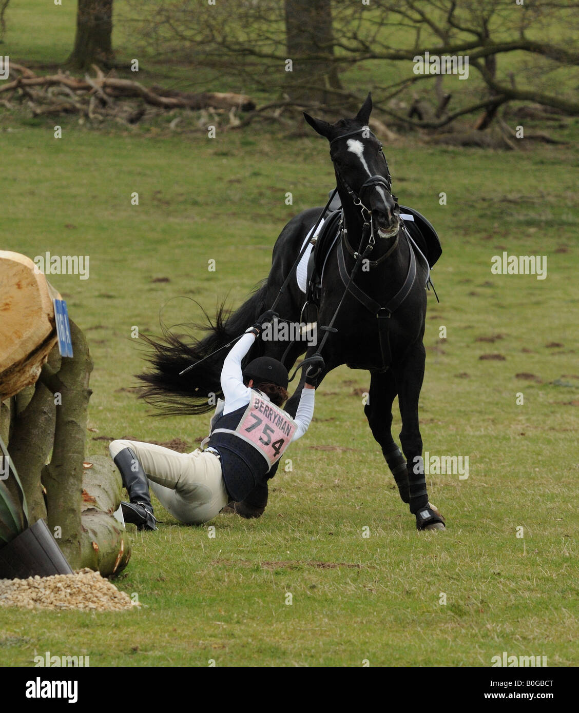 female rider falls from horse rearing up at belton house horse trials in grantham lincolnshire Stock Photo