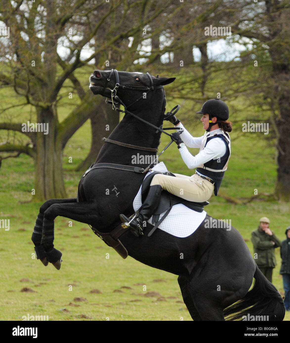 horse rearing up at belton house horse trials in grantham lincolnshire Stock Photo