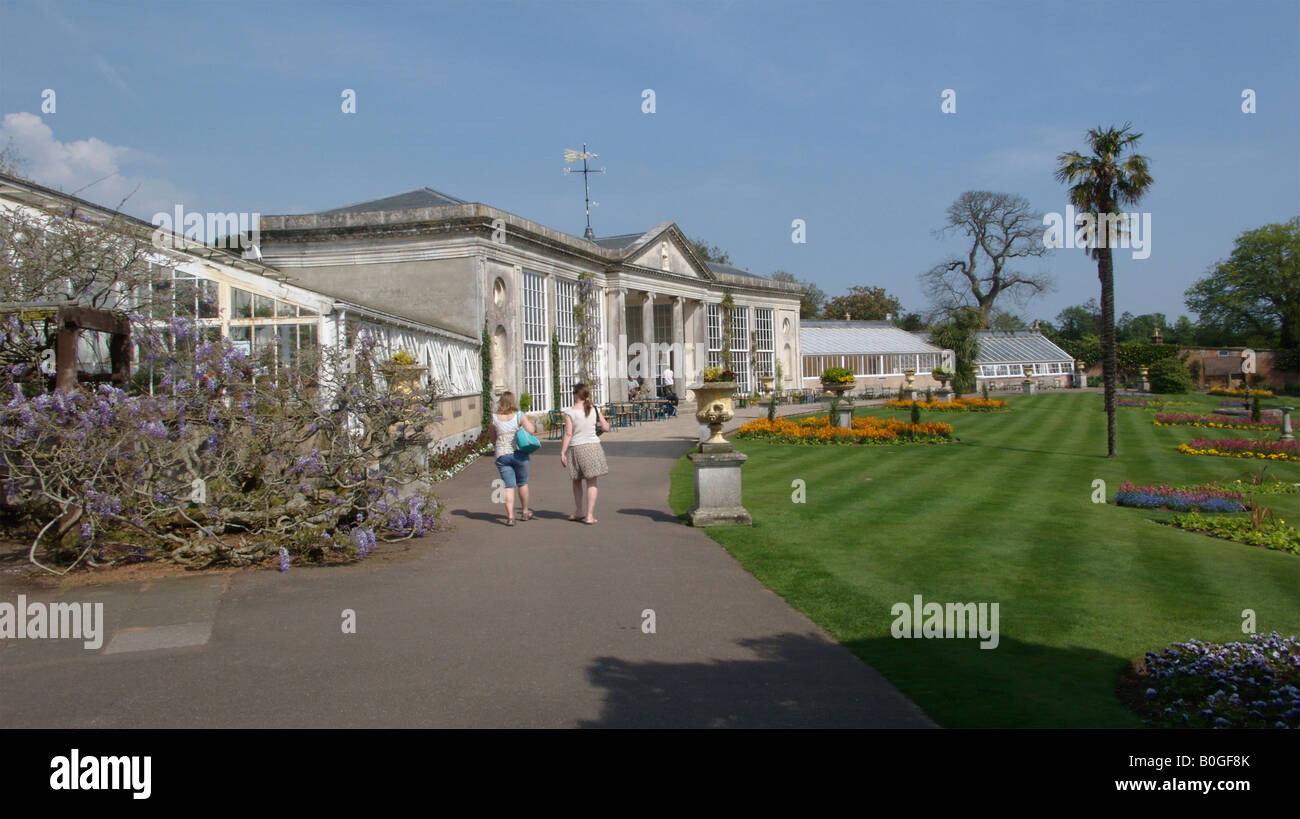 The Orangery at Bicton Botanical Gardens Exeter Devon UK Stock Photo