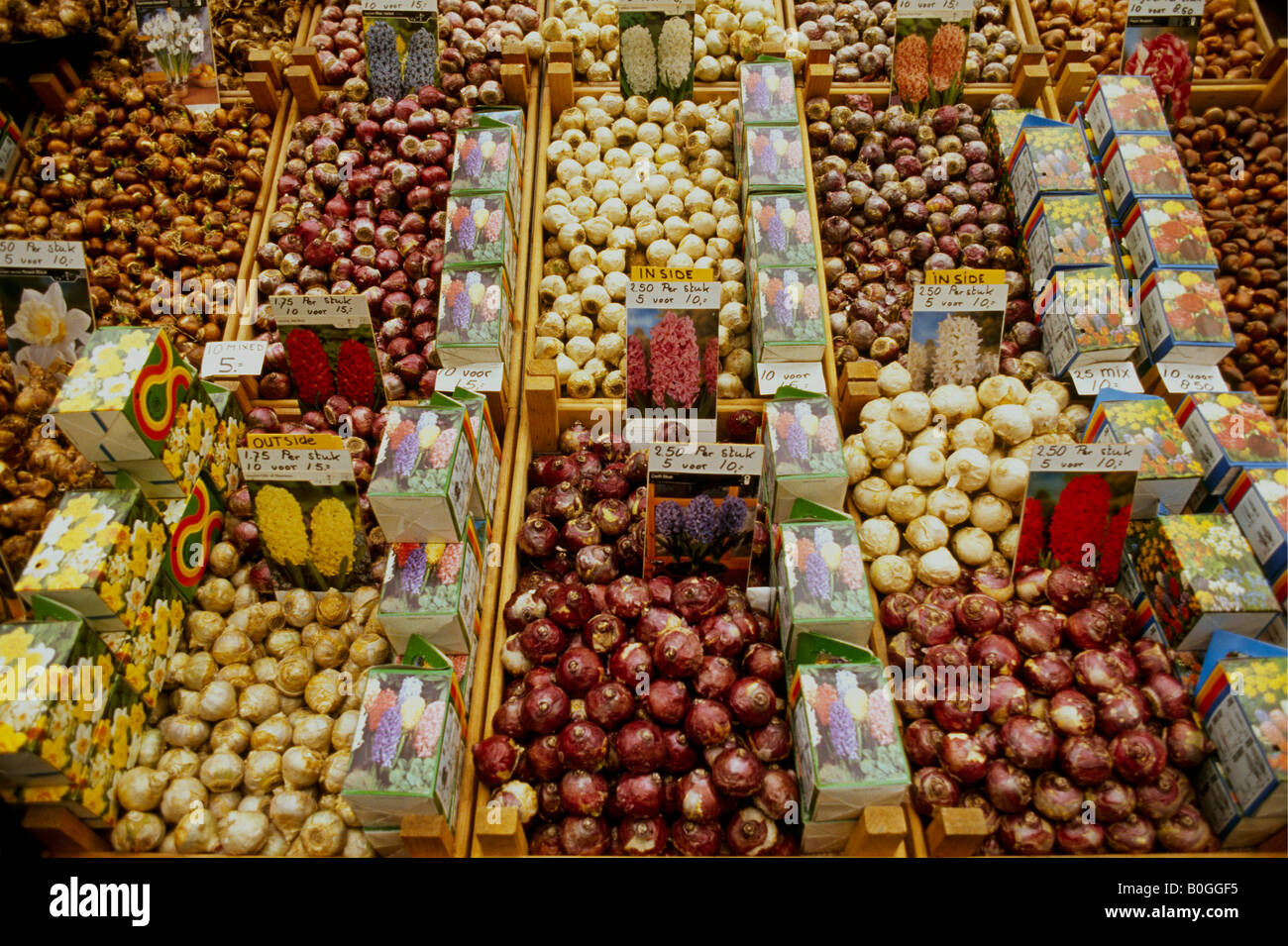 A flower and bulb market, Amsterdam, Netherlands Stock Photo Alamy