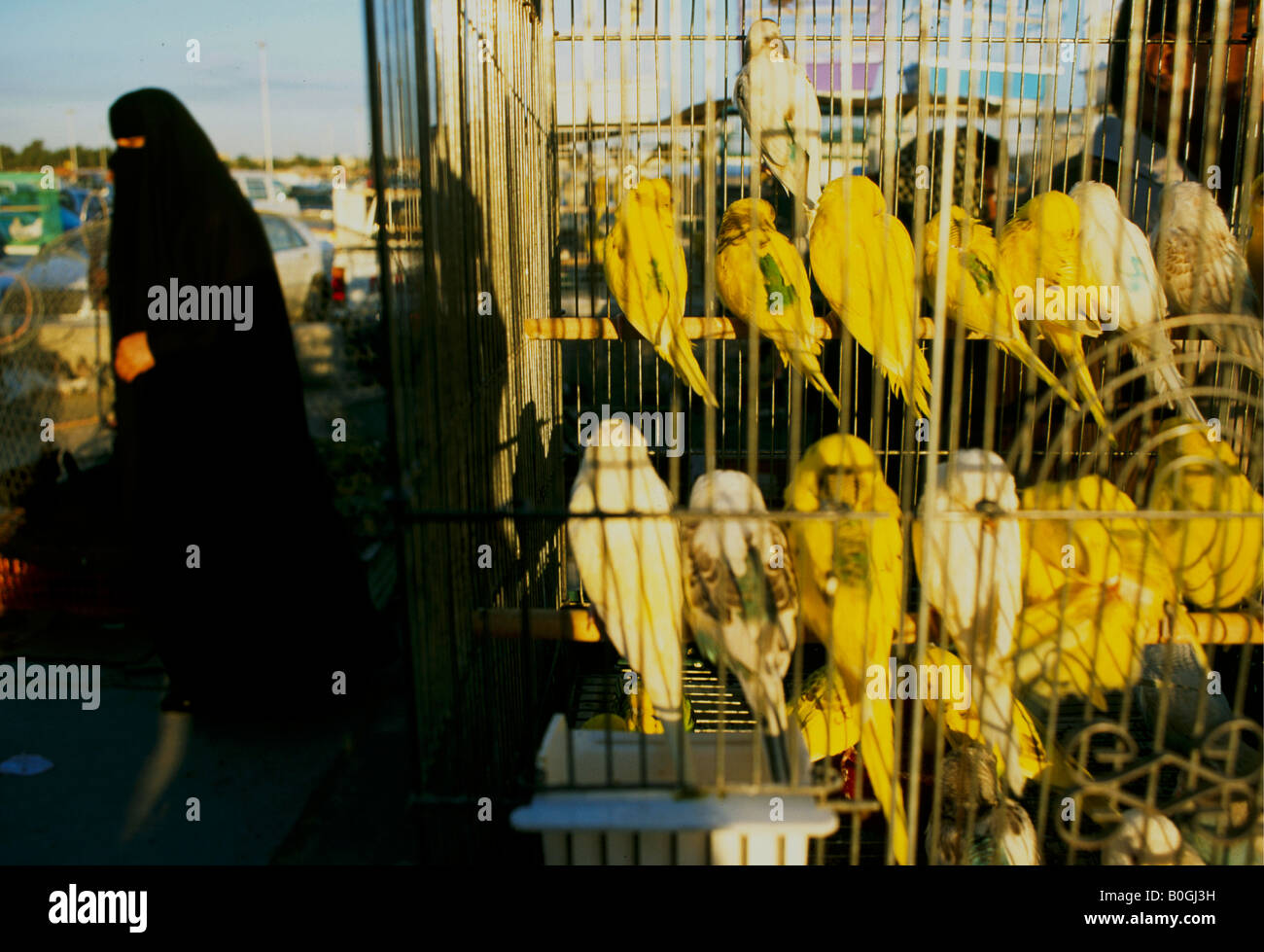 Kuwait women hires stock photography and images Alamy