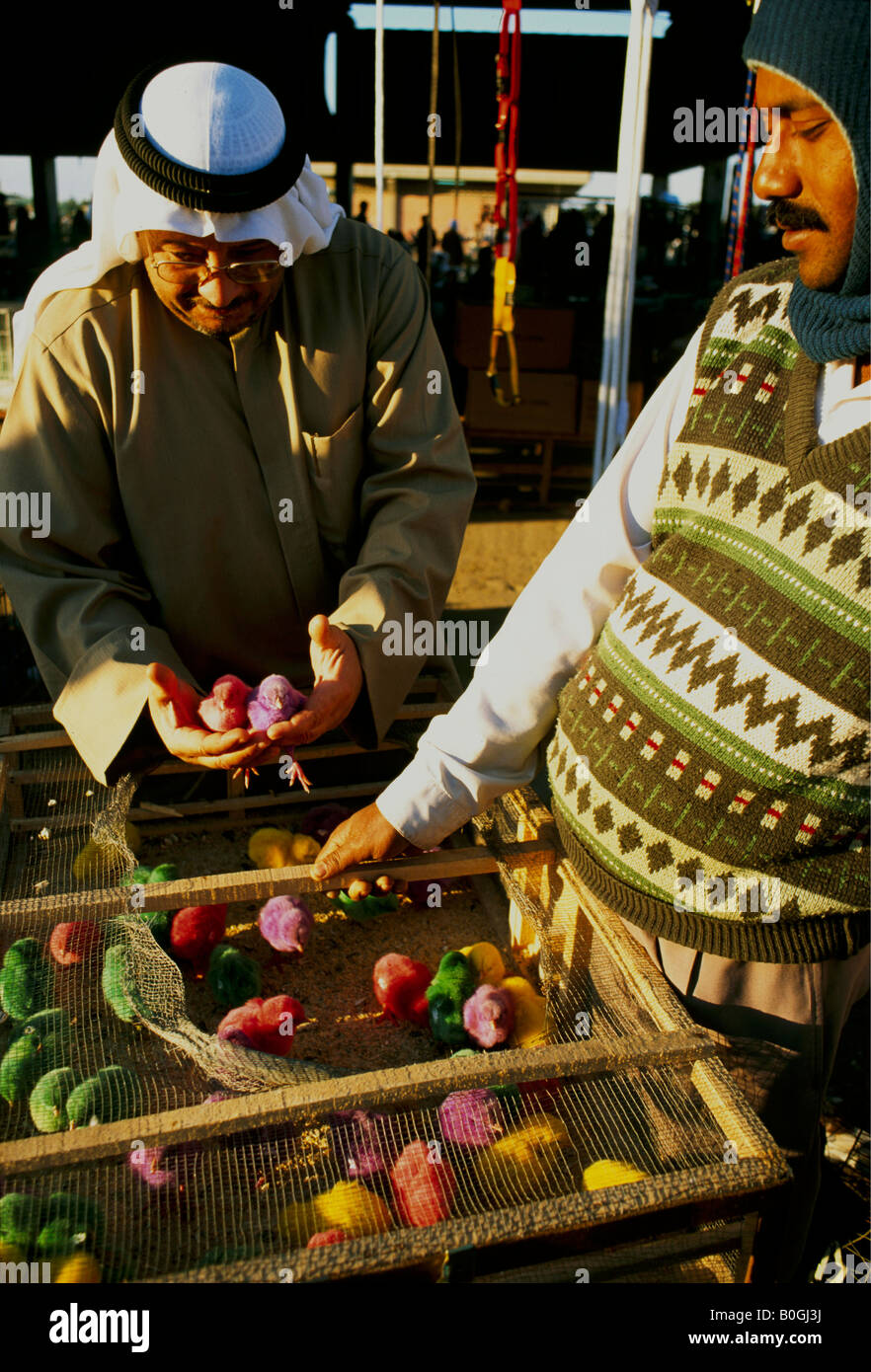 Kuwait keffiyeh kuwaiti hires stock photography and images Alamy