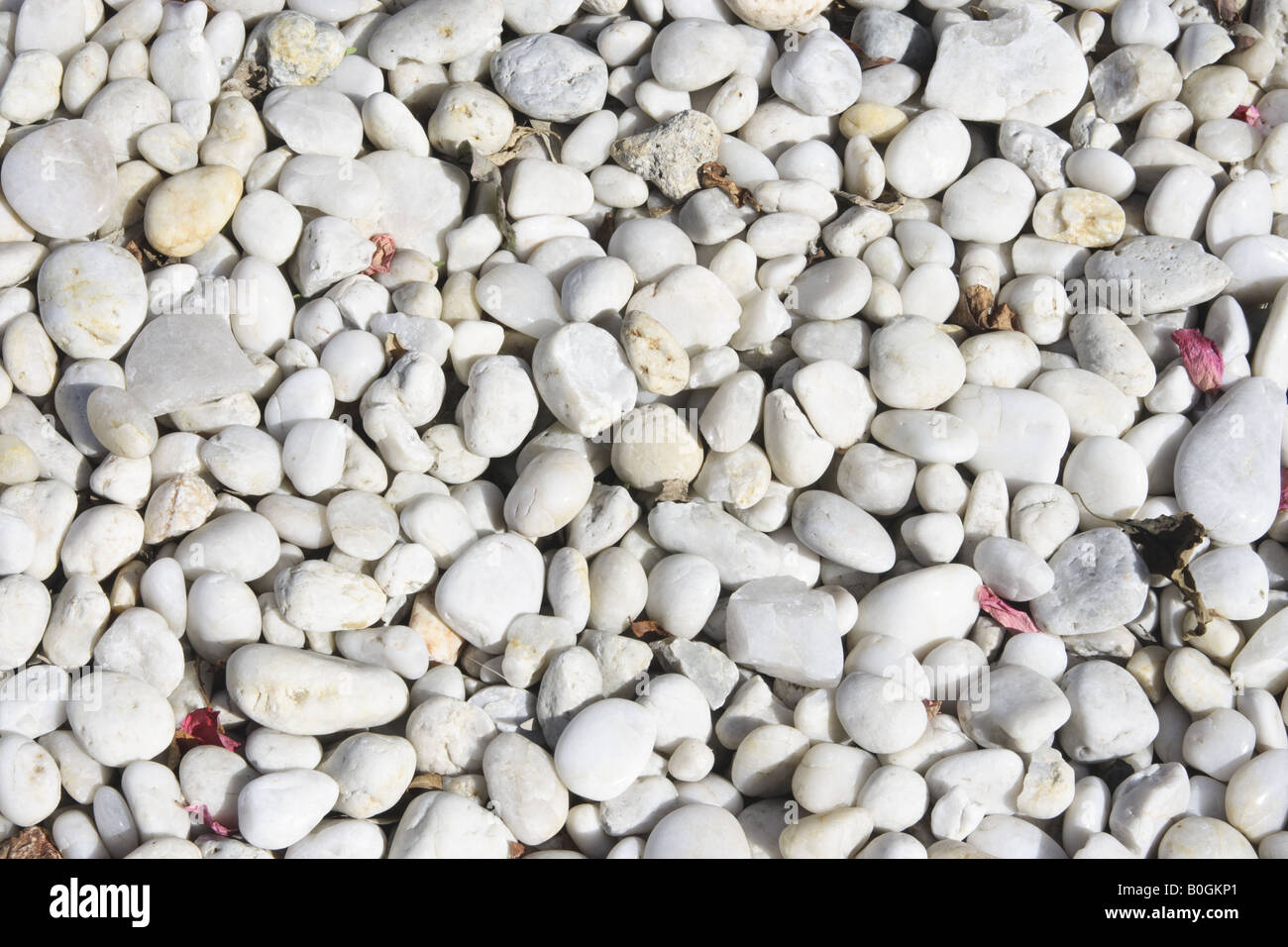 Rocky pebbles hi-res stock photography and images - Alamy