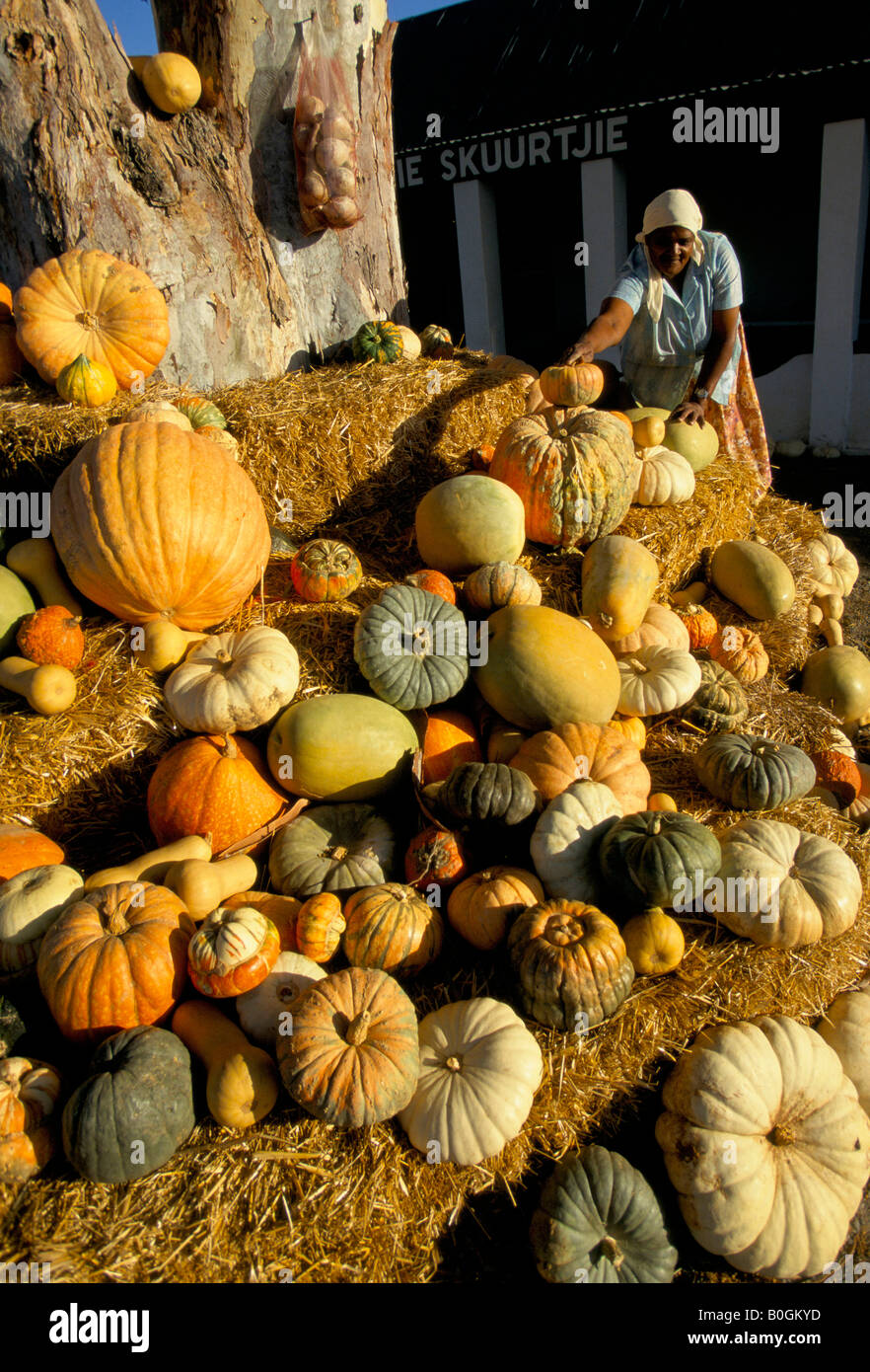 Pumpkins For Sale At A Market South Africa Stock Photo Alamy pumpkins-for-sale-at-a-market-south-africa-stock-photo-alamy