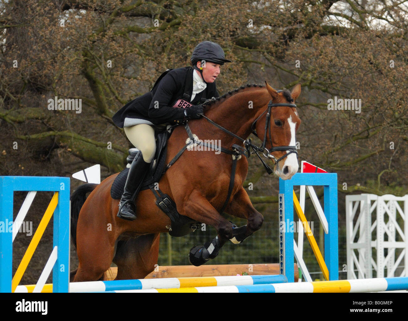 horse and rider at belton house horse trials competing in the show