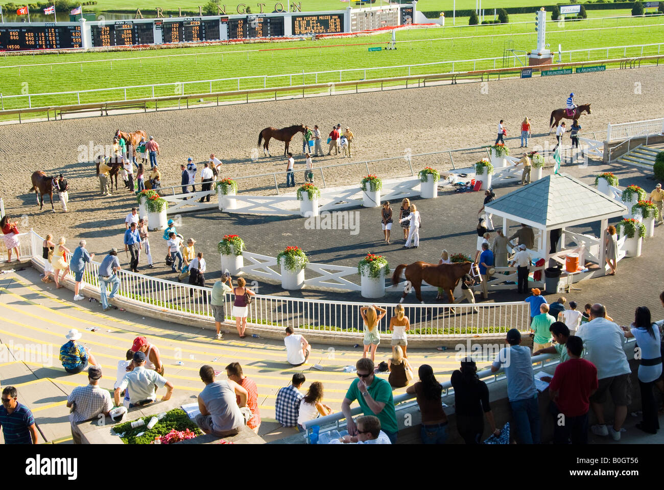 Arlington Race Track Stock Photo Alamy