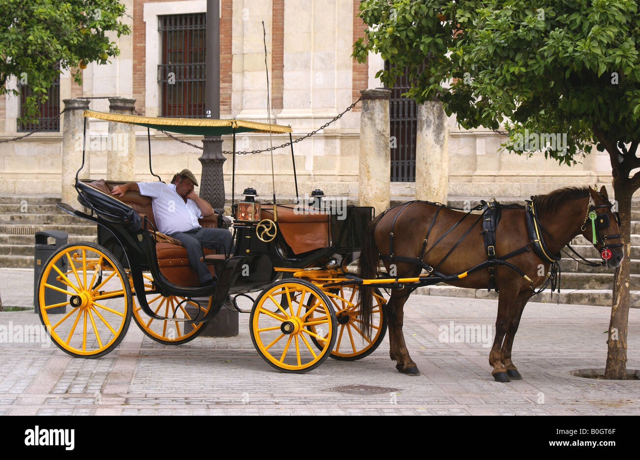 Horse and cart drive having a siesta Stock Photo Alamy