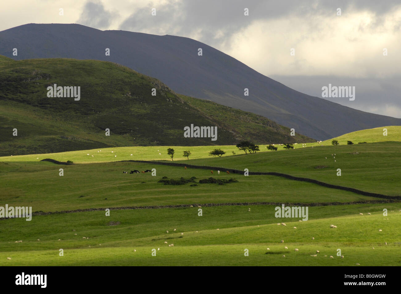 The Northern Fells near Ireby Cumbria England UK Stock Photo