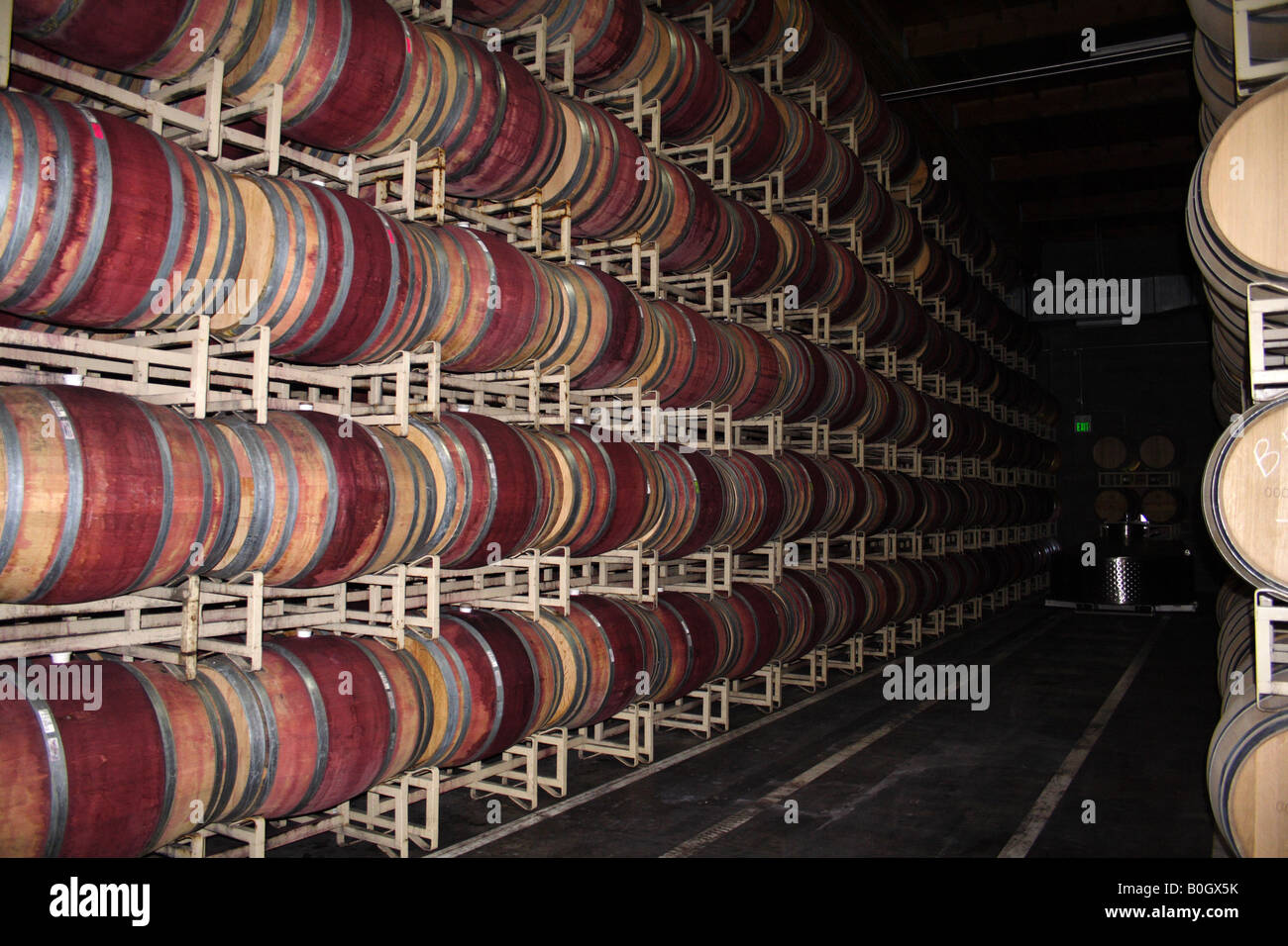rows of wine barrels in a winery Stock Photo - Alamy
