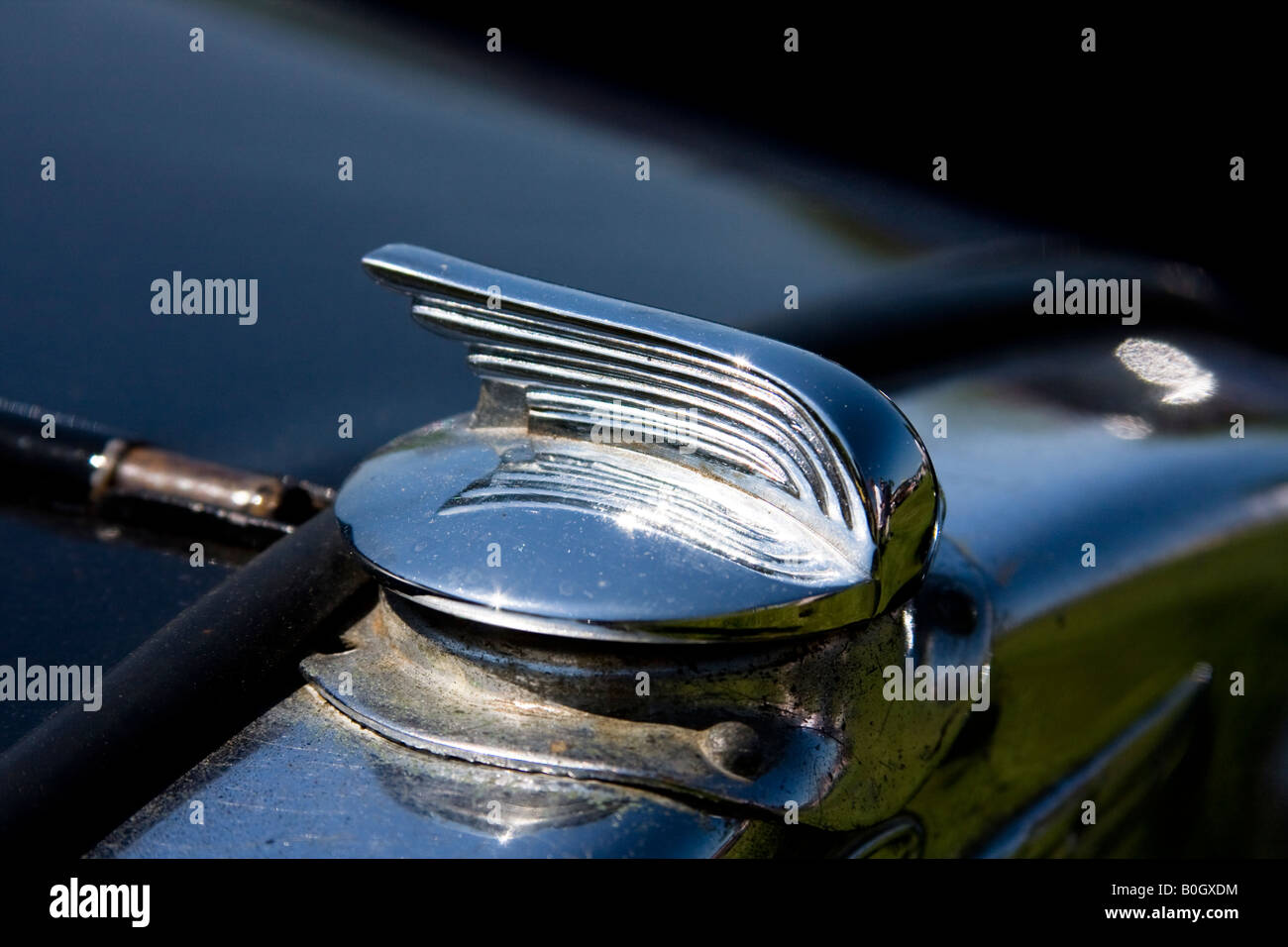 Austin radiator filler cap logo / emblem Stock Photo Alamy
