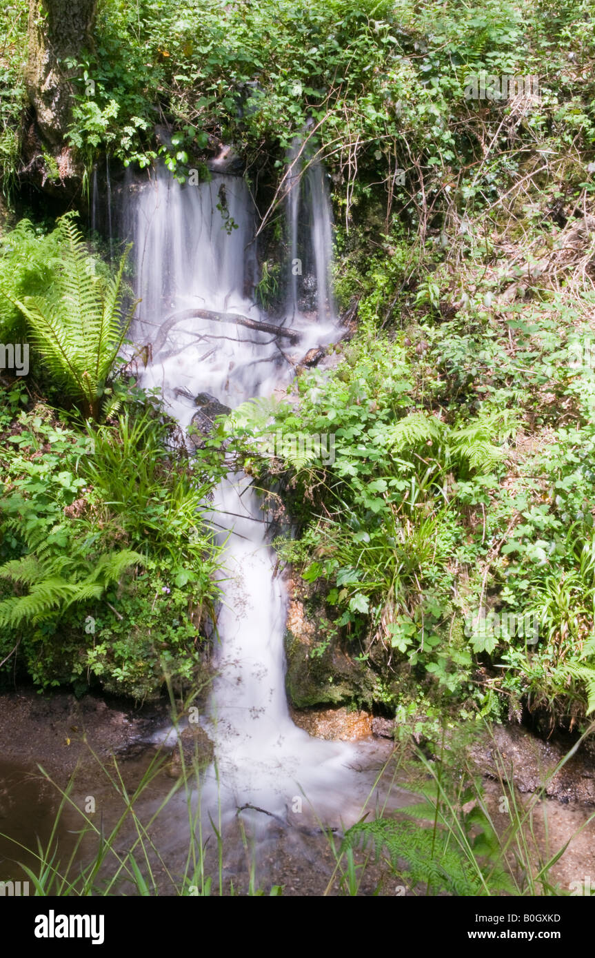 A waterfall in Luxulyan Valley, St Austell, Cornwall Stock Photo