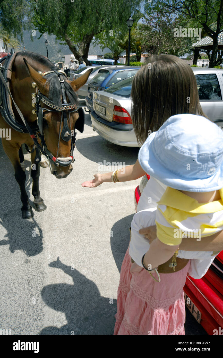 Mother holding toddler, reaching out her hand to a stroke horse, in the streets of in Mijas Pueblo, Costa del Sol,  Spain Stock Photo