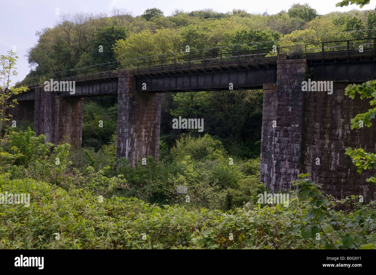 Railway bridge in Luxulyan Valley, on the branch line between Par and Newquay Stock Photo