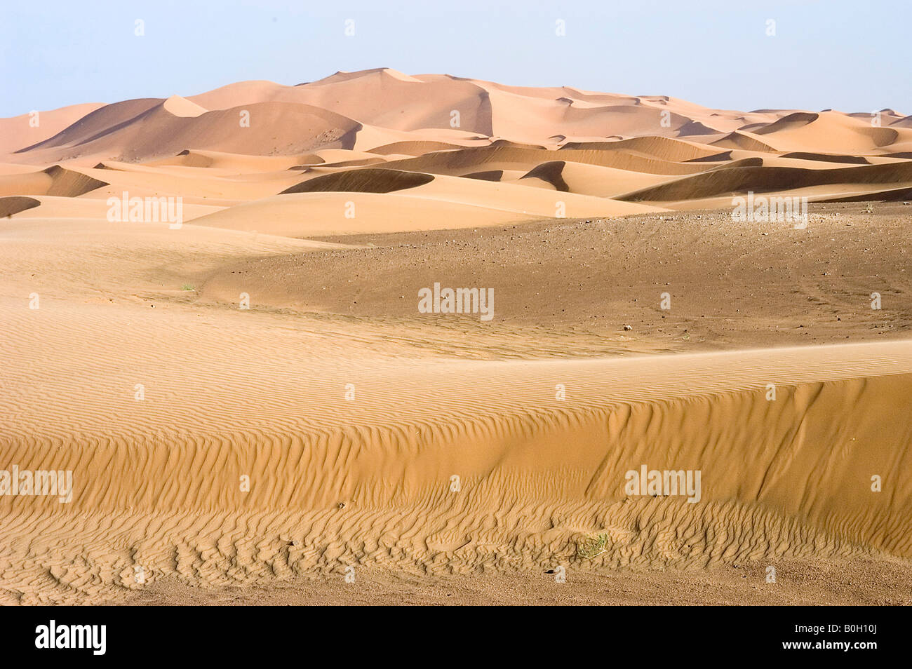 Le desert du Sud Marocain les dunes de Merzouga Stock Photo - Alamy
