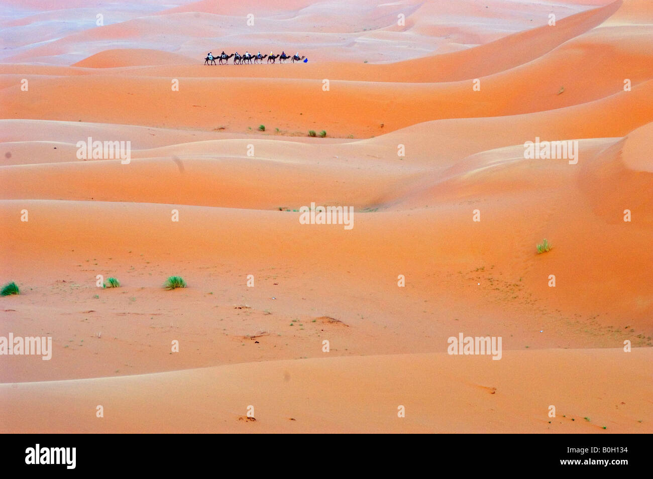 Le desert du Sud Marocain les dunes de Merzouga Stock Photo - Alamy