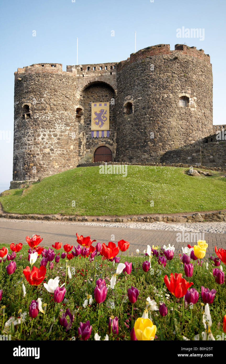 Carrickfergus Castle Co Antrim In Early Spring Stock Photo - Alamy