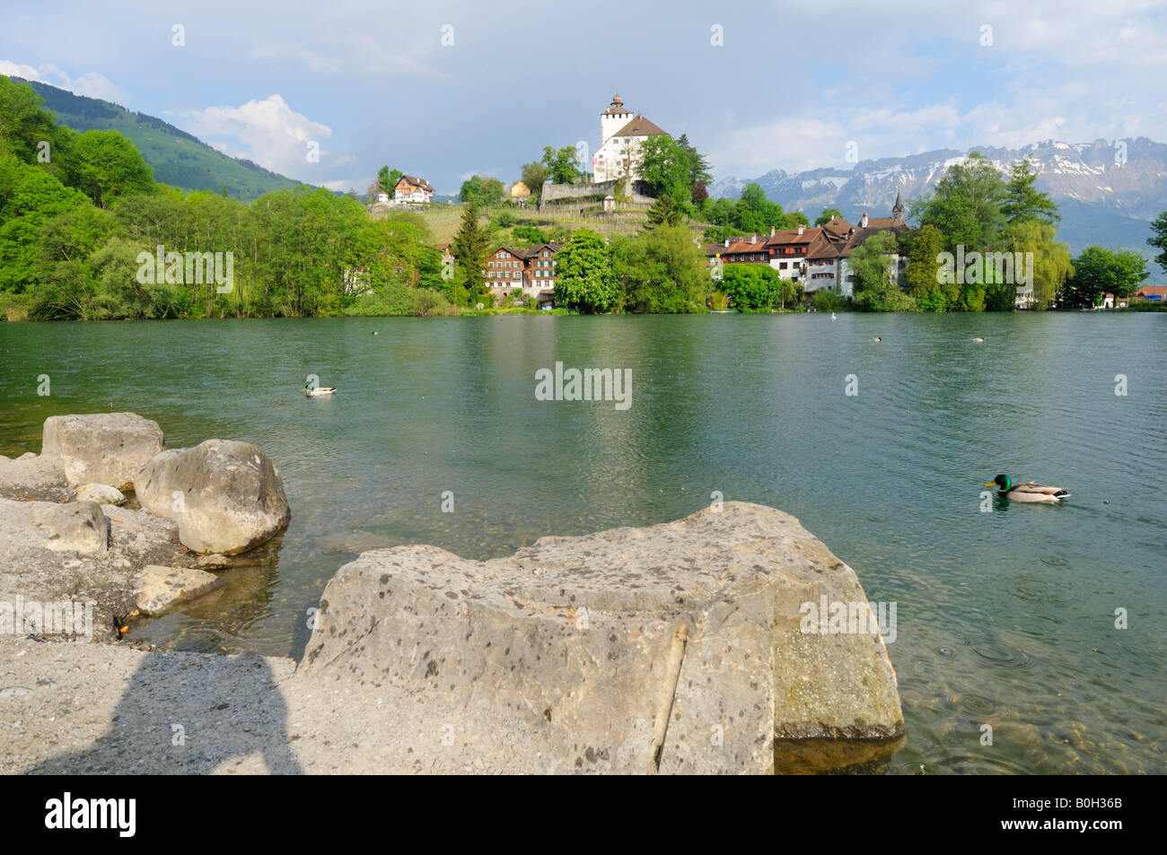 Scenic Lake and Castle Werdenberg in spring, Rheintal CH Stock Photo