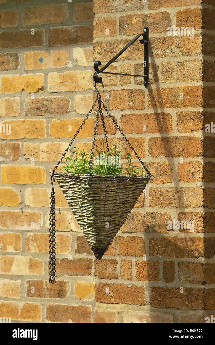 a hanging basket hung from a wall in a cottage garden Stock Photo Alamy
