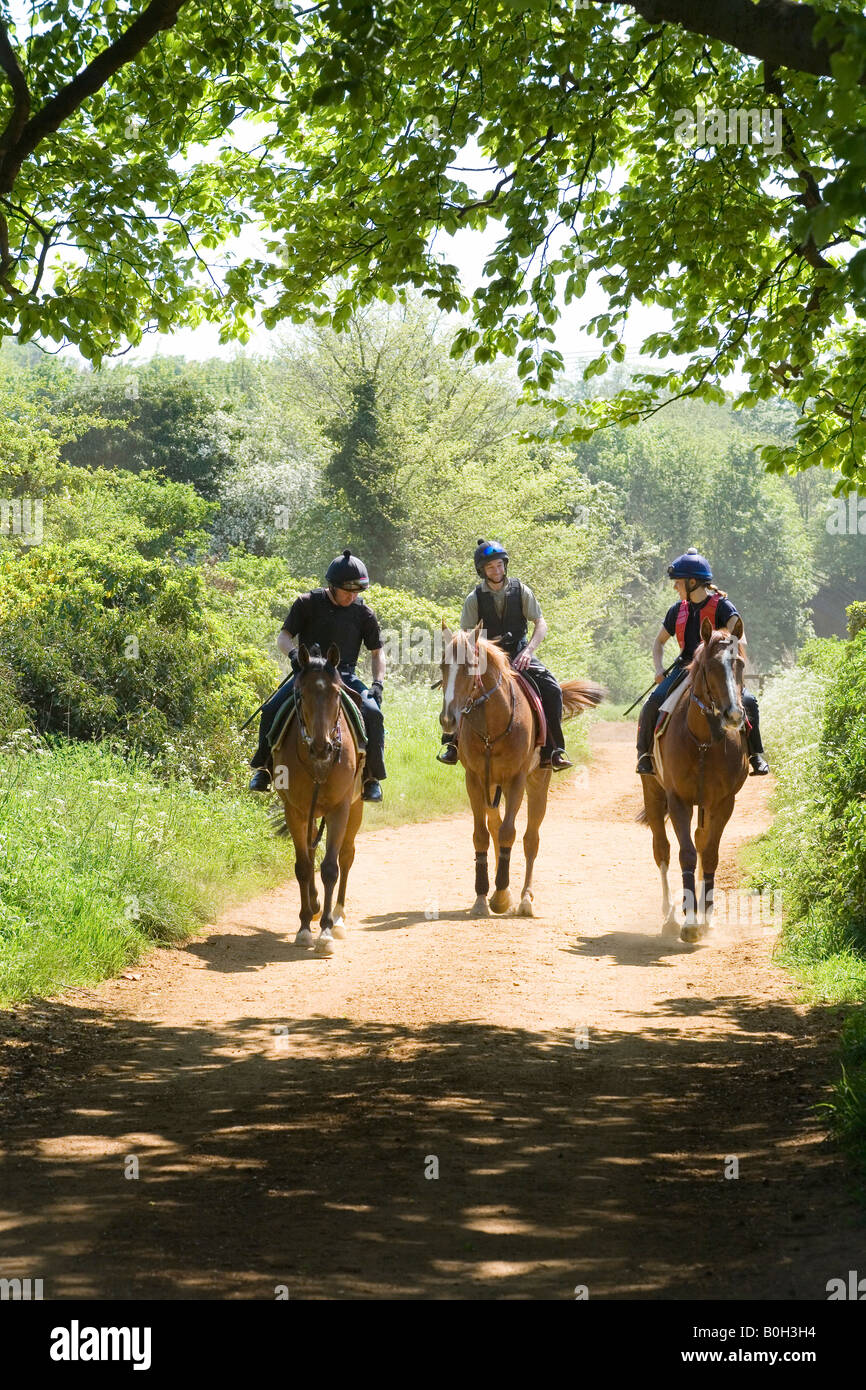 Riders in the woods, Exning, near Newmarket, Suffolk, England Stock