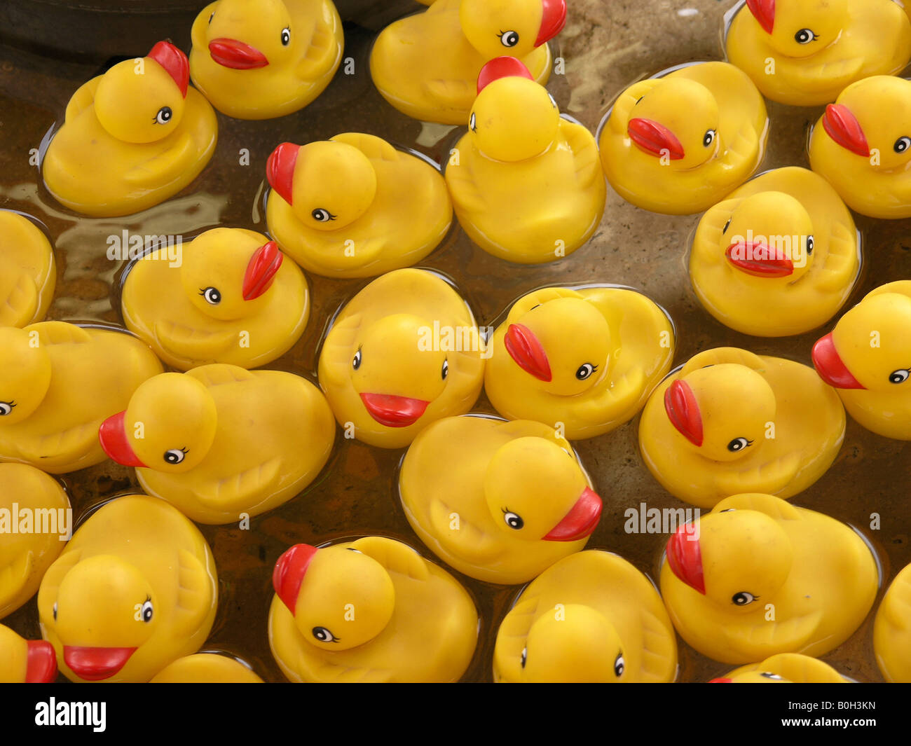 Duckys hi-res stock photography and images - Alamy