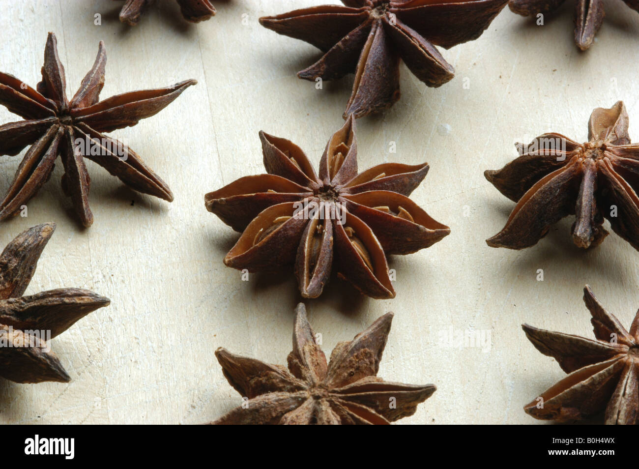 Star anise Stock Photo