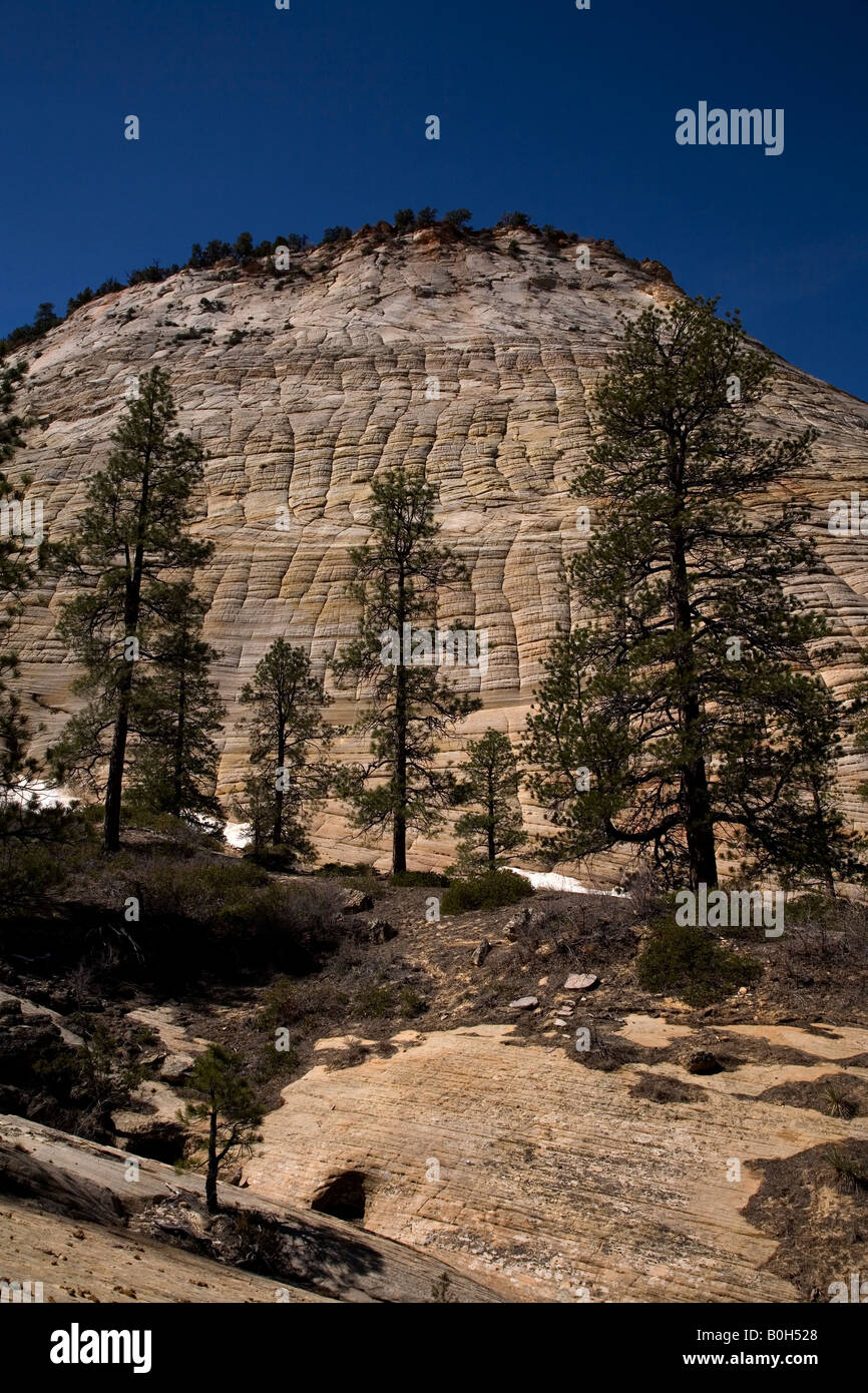 Checkerboard Mesa, Zion National Park, Utah Stock Photo Alamy