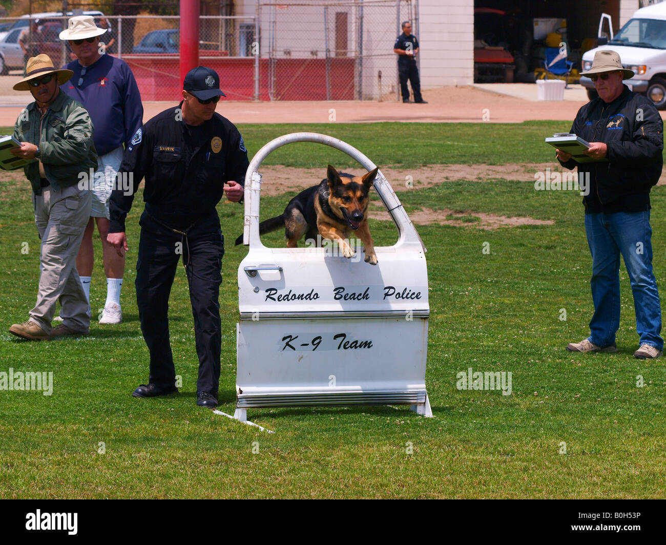 Police officer watches his German Shepherd jump through the car window