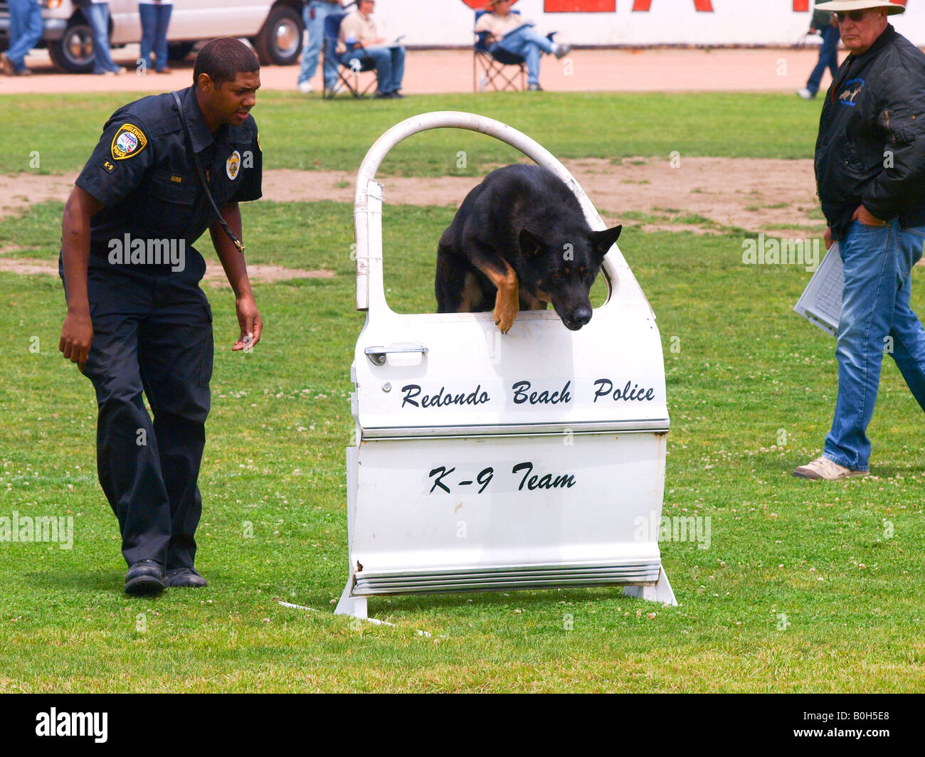 do dogs jump out of trucks