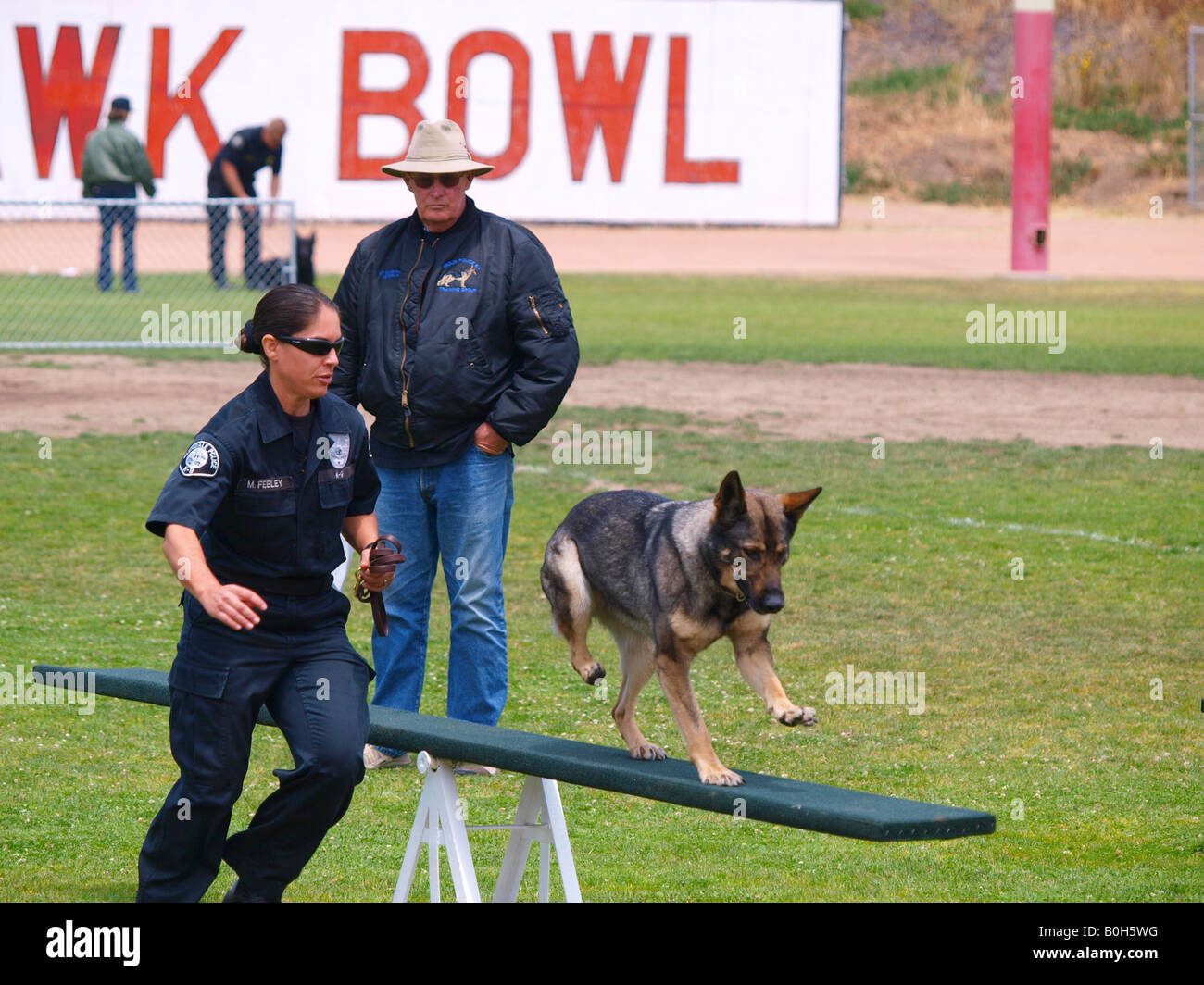 Female police officer works her dog through the teeter totter phase of