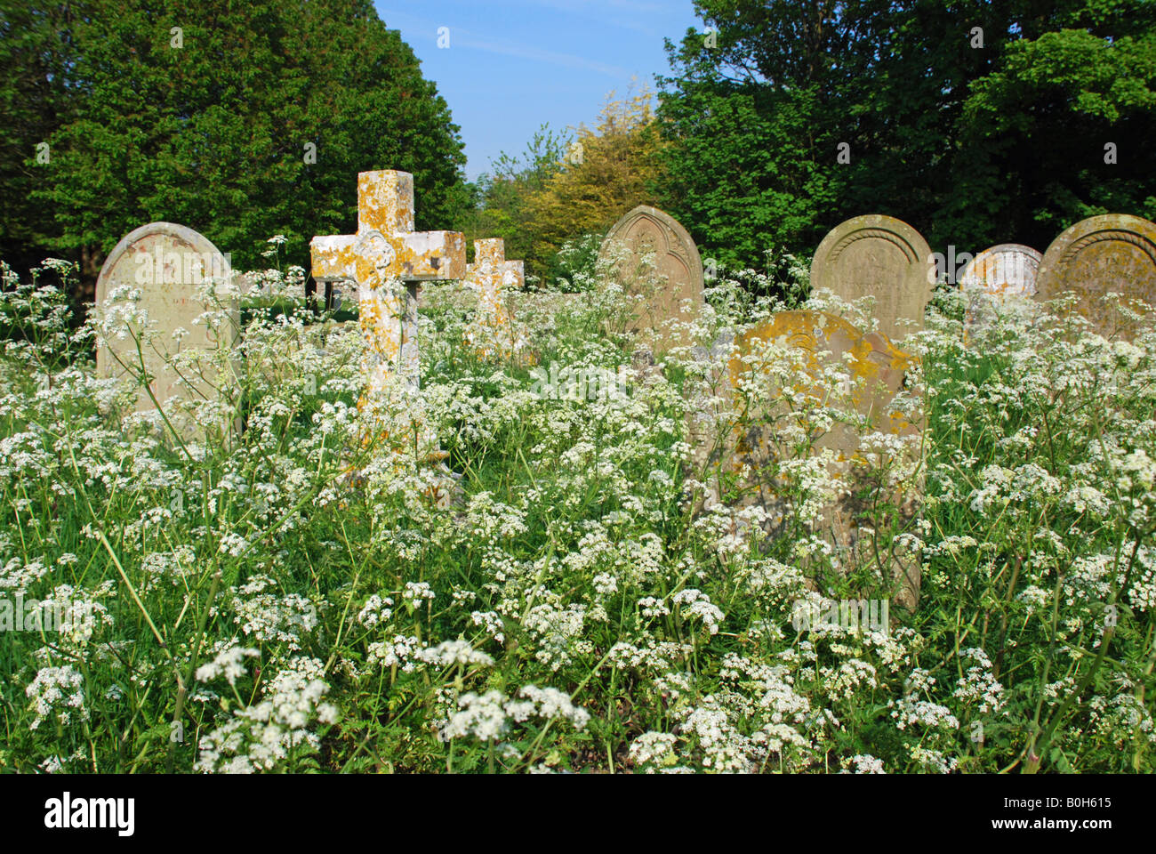 A graveyard conservation area. Stiffkey, Norfolk, England Stock Photo